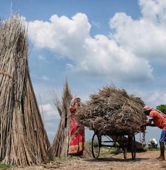 a group of people standing around a pile of hay