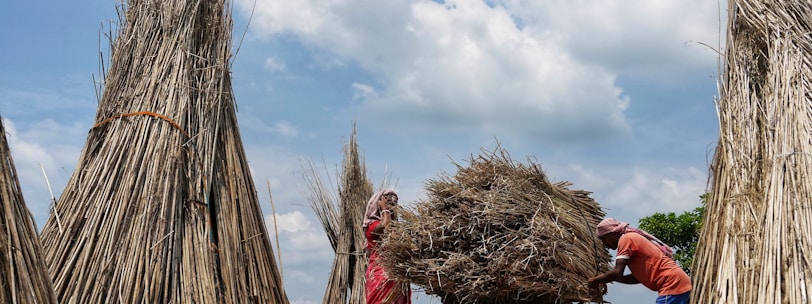 a group of people standing around a pile of hay