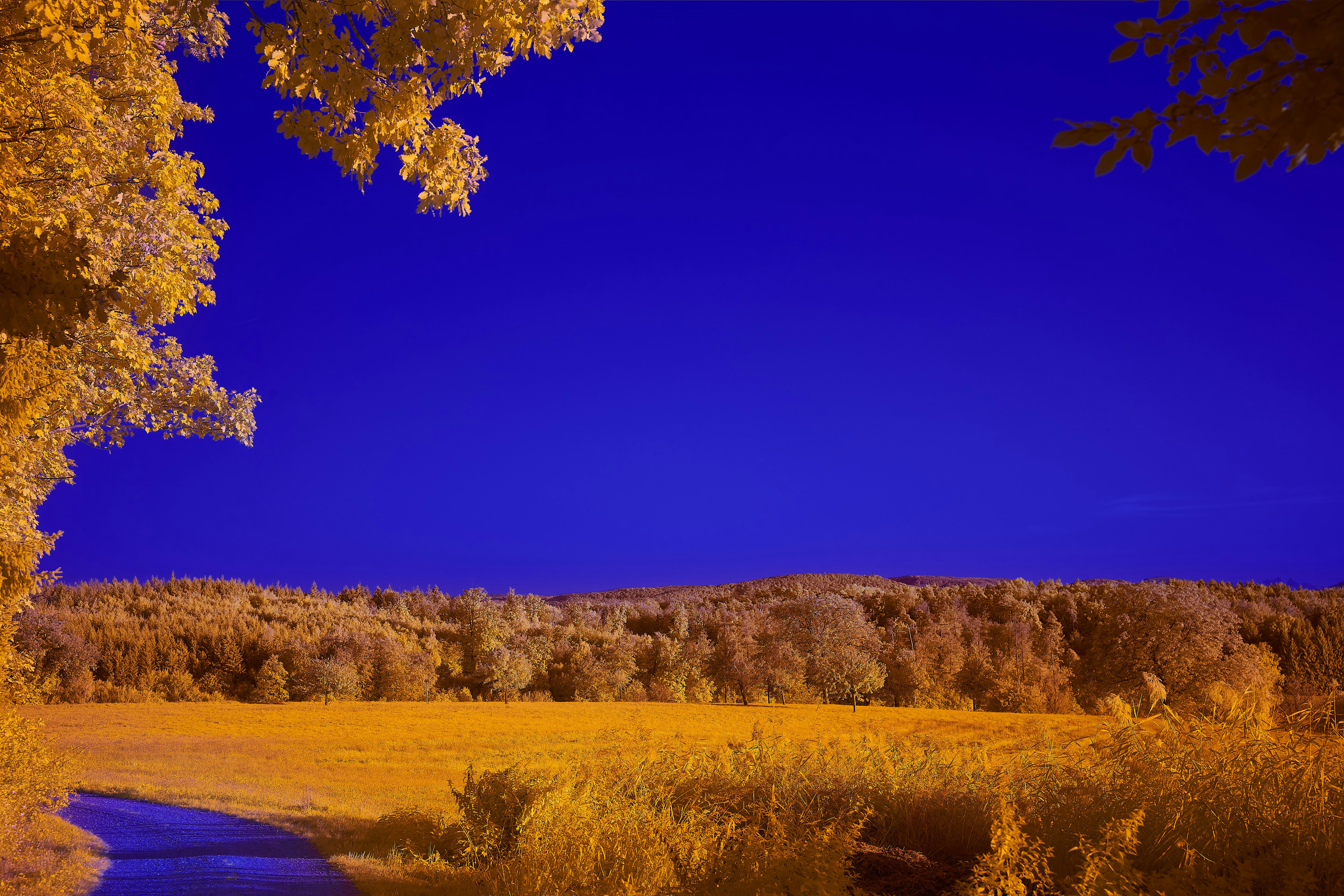 Photo by wolfgang_hasselmann