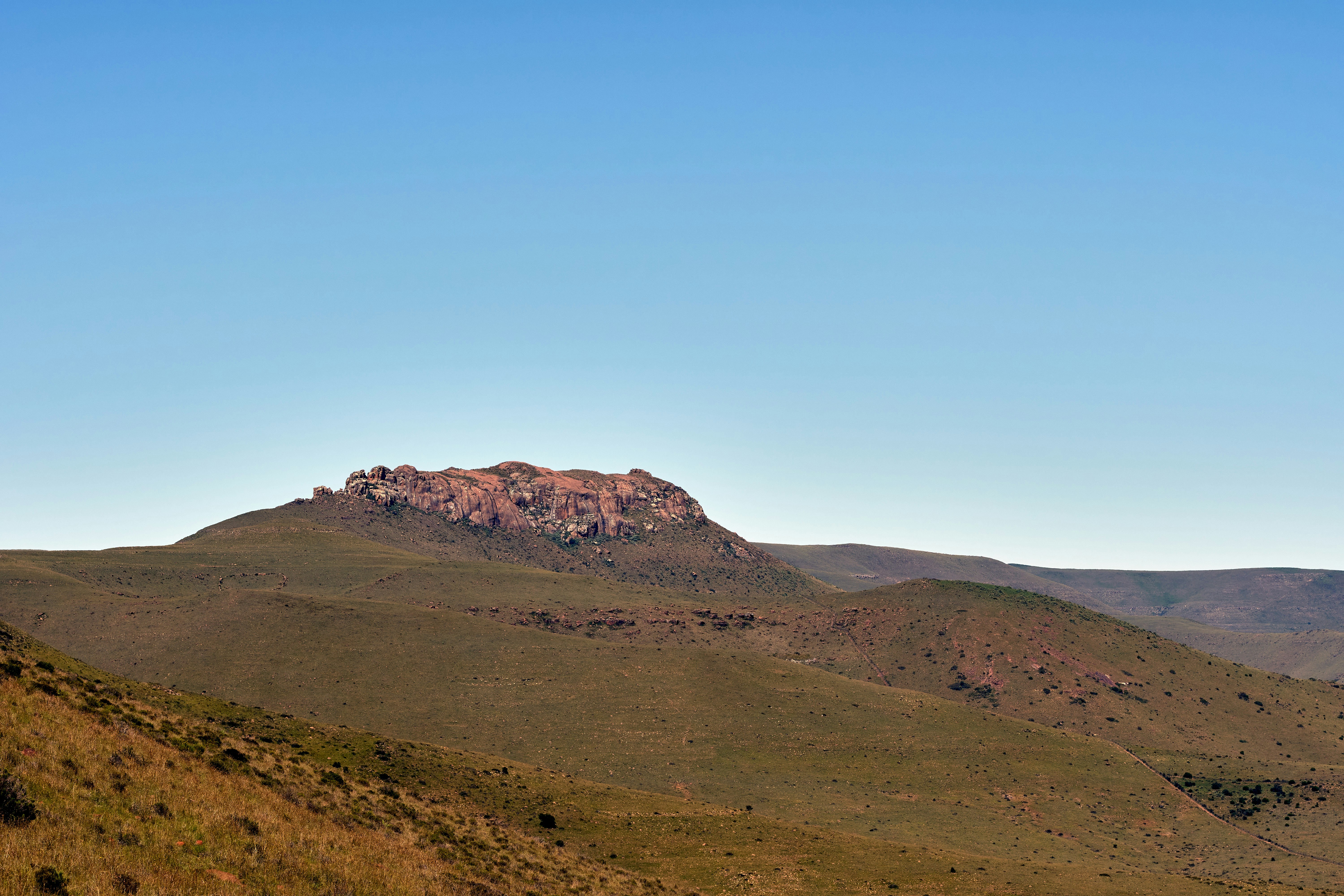 Photo by wolfgang_hasselmann