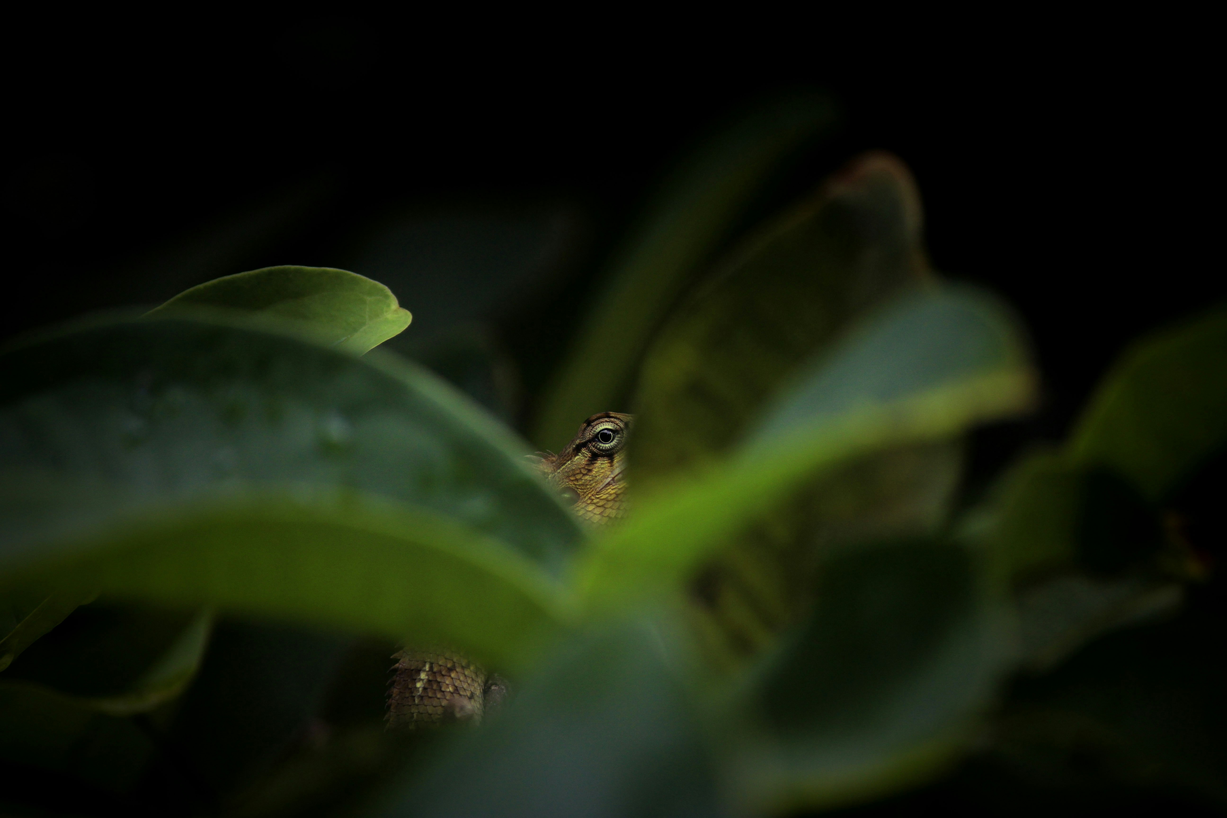 Photo by hrithwik2151