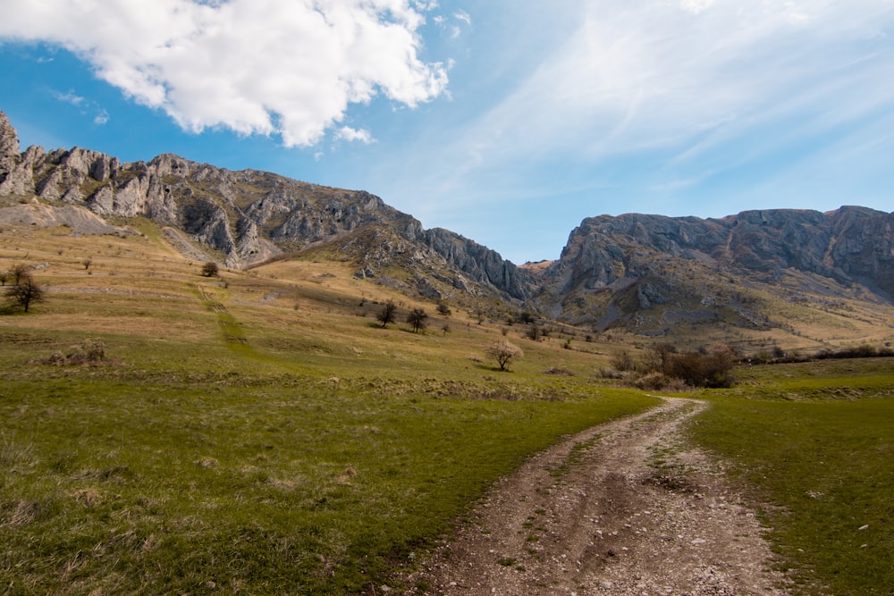 a dirt road in the middle of a grassy field