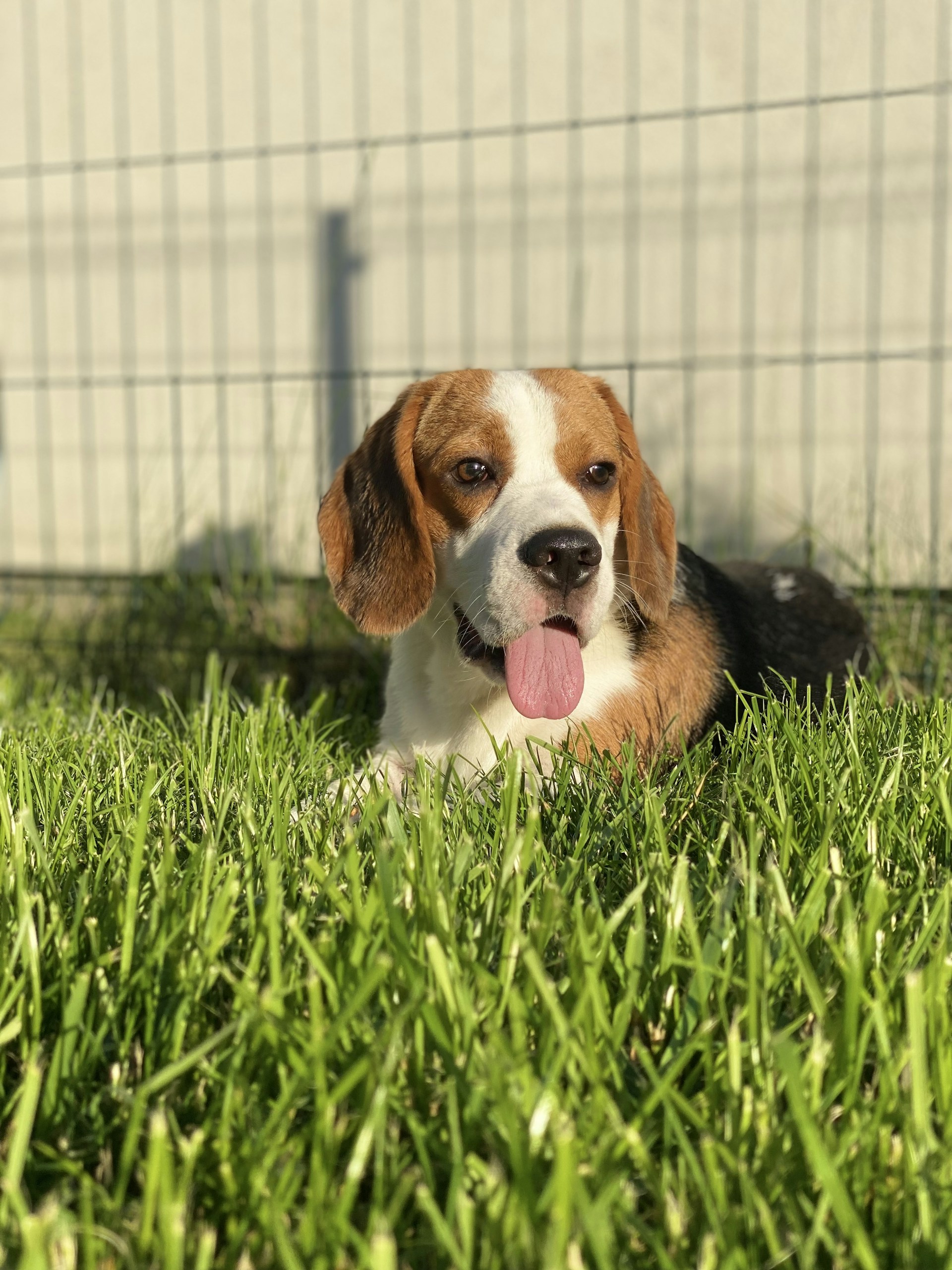 woman wearing yellow long-sleeved dress under white clouds and blue sky during daytime