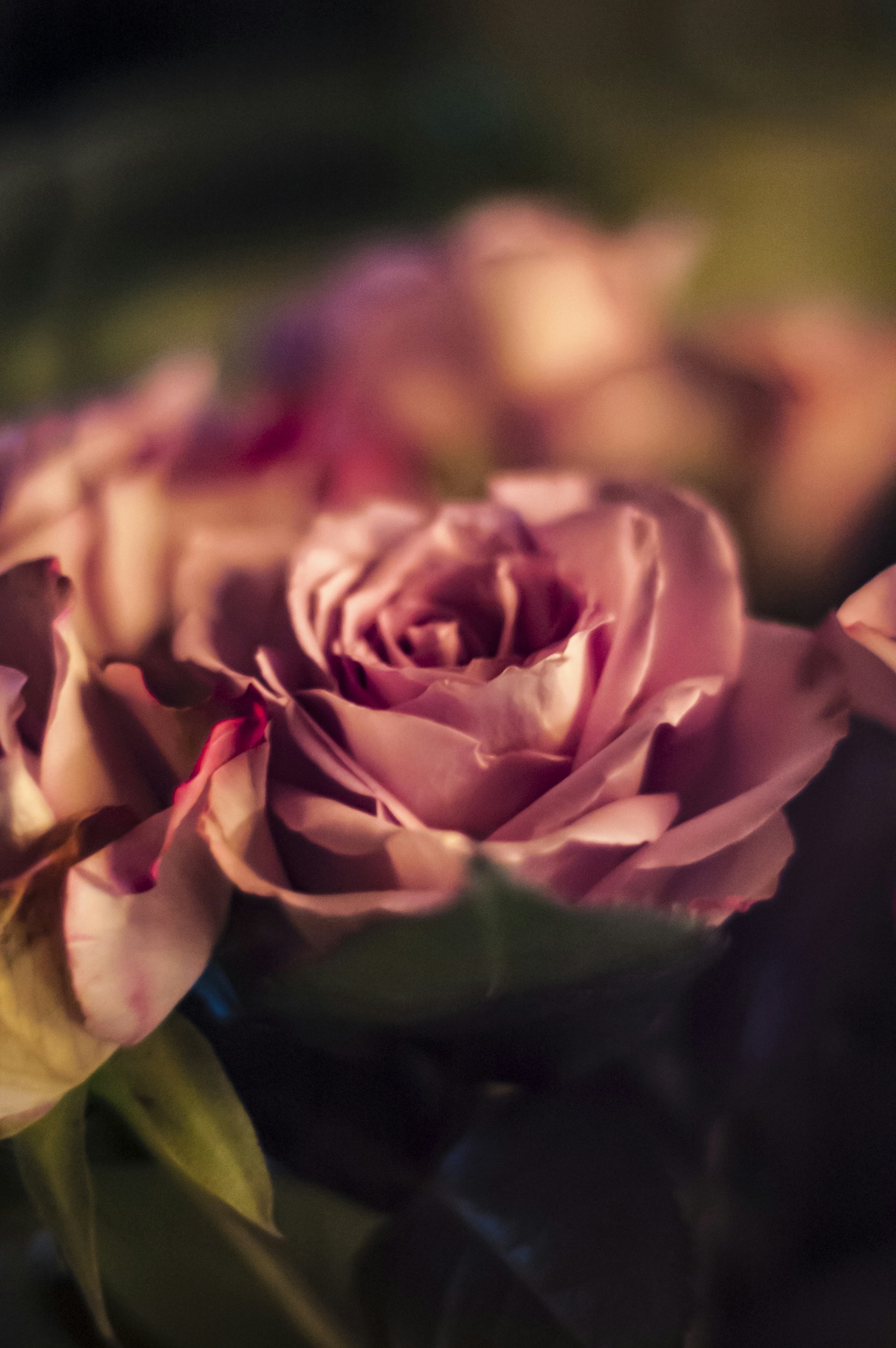 Photo by lysekristin