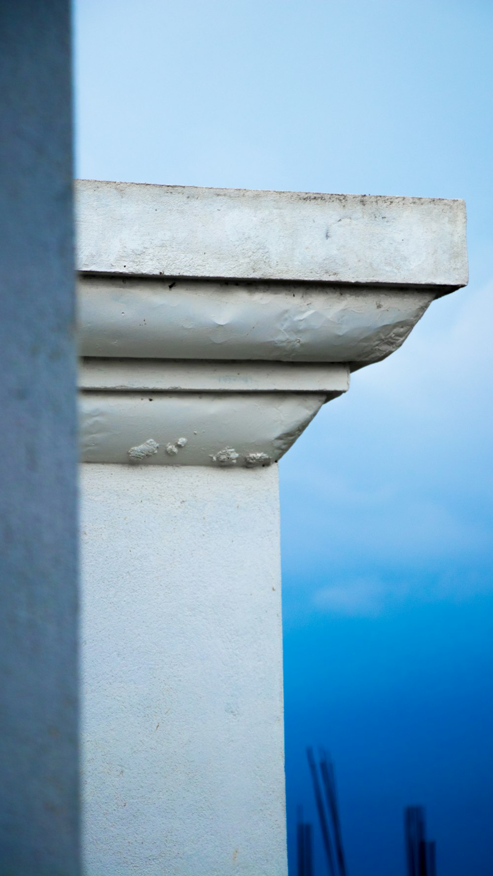 a bird is perched on the corner of a building