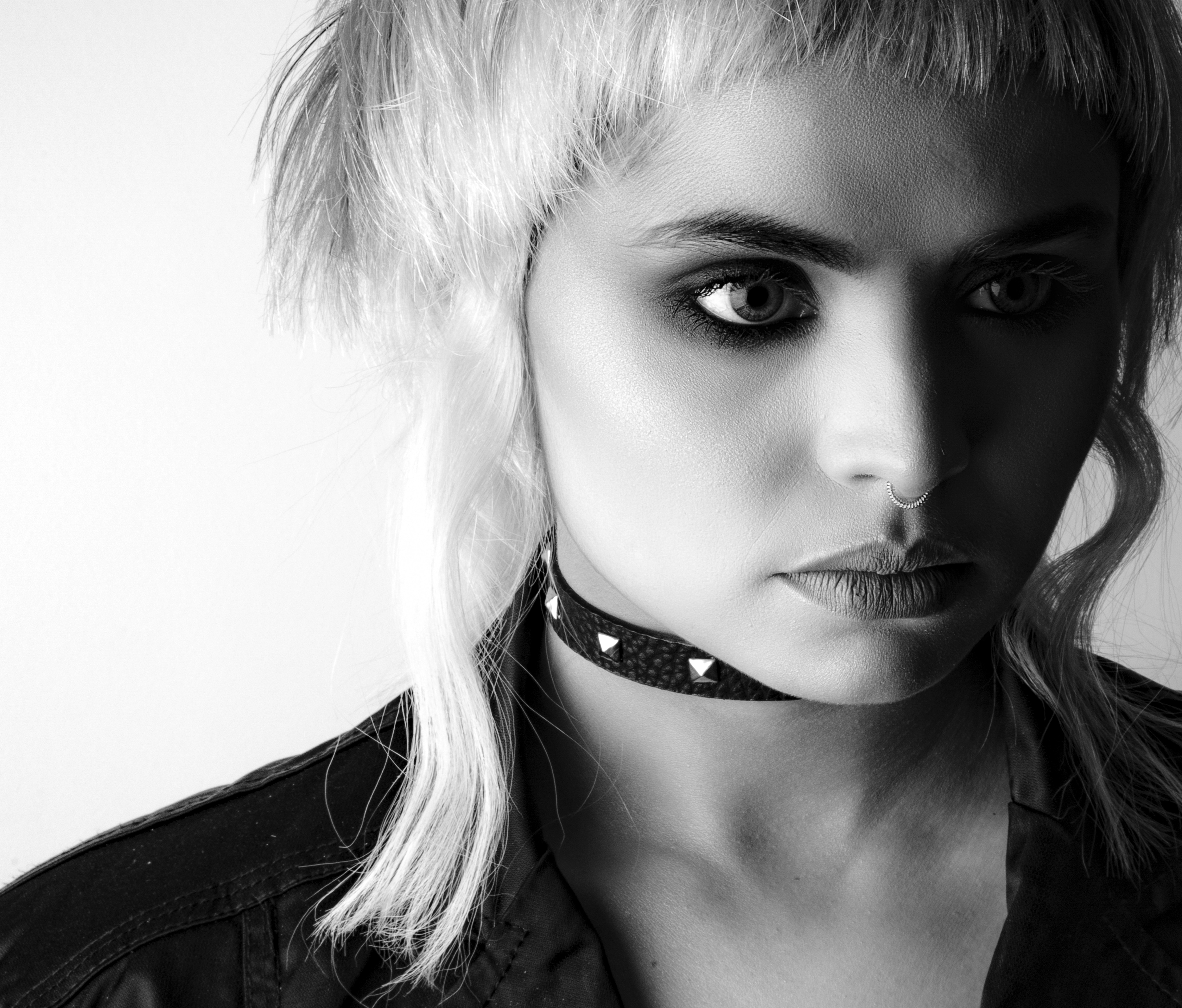 하네스 vs 목줄 체형·성격별 추천 총정리