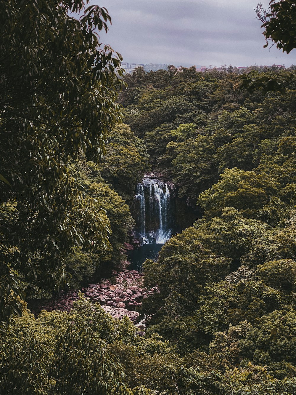 a waterfall in the middle of a forest