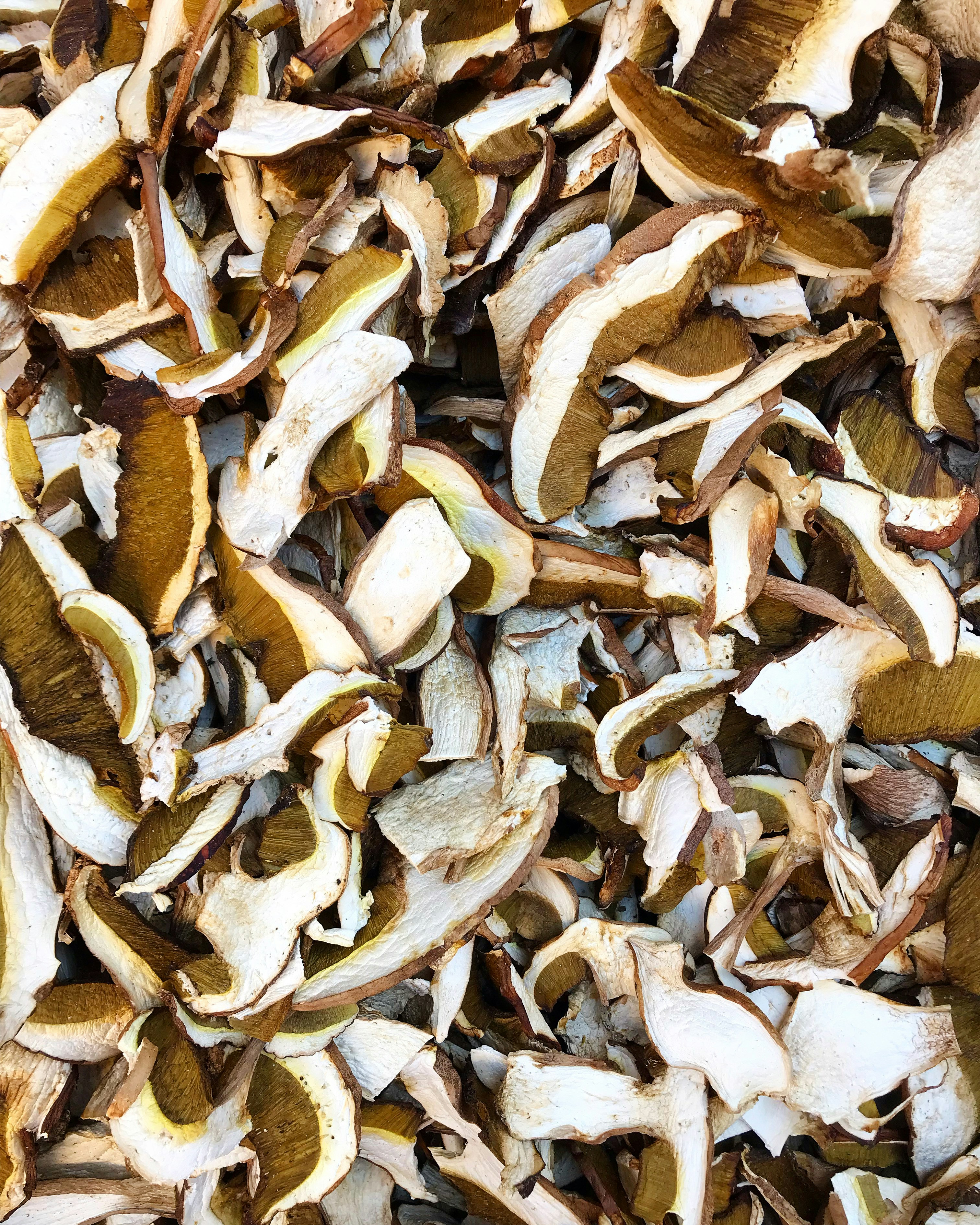 Photo by lisaminucci