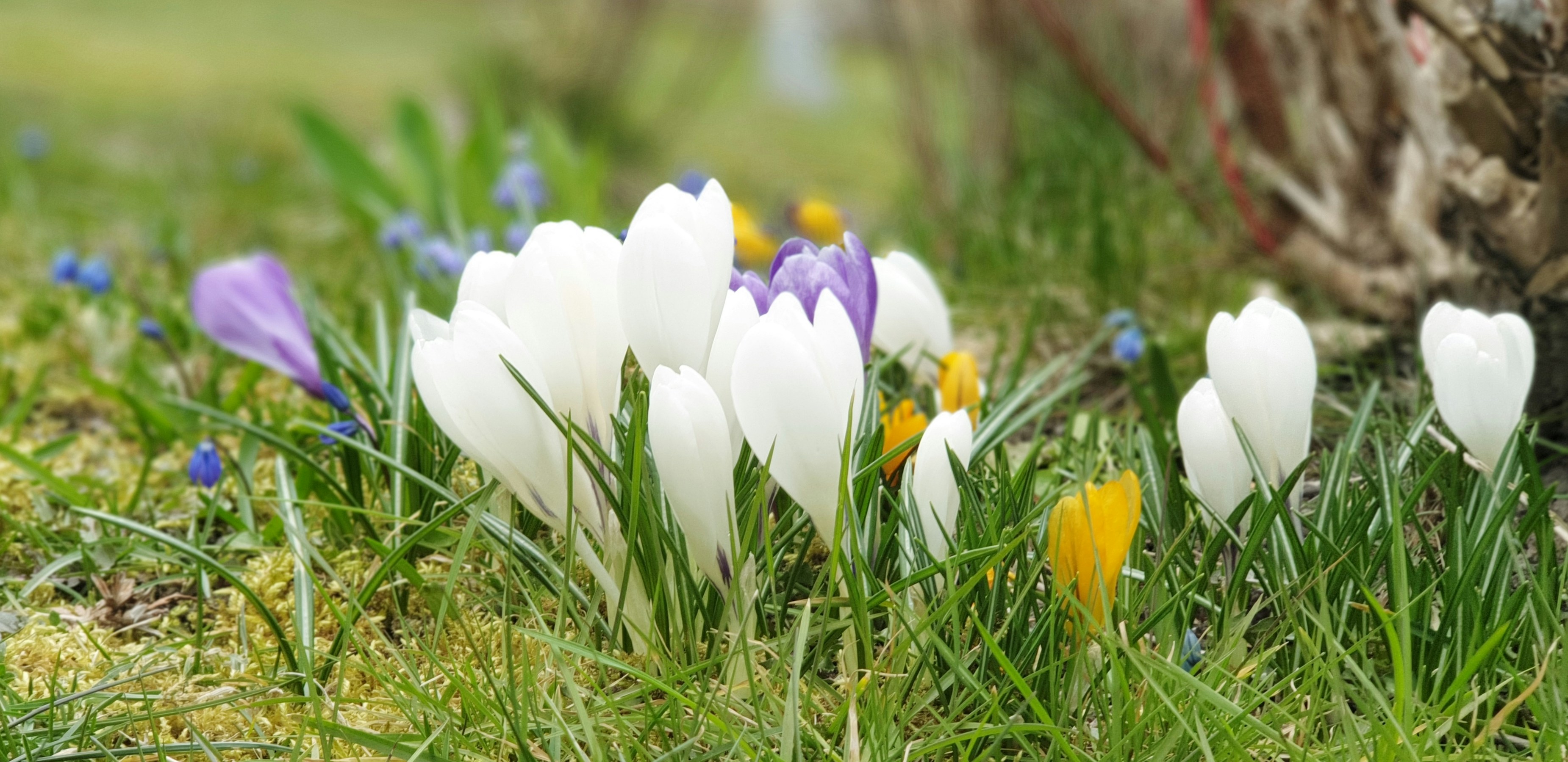 Photo by naggar_0111