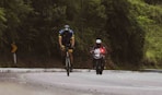 a couple of people riding bikes down a road