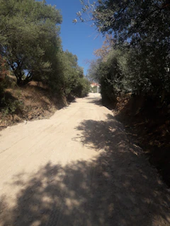 A sunlit terrain with a dirt path leading through natural vegetation.