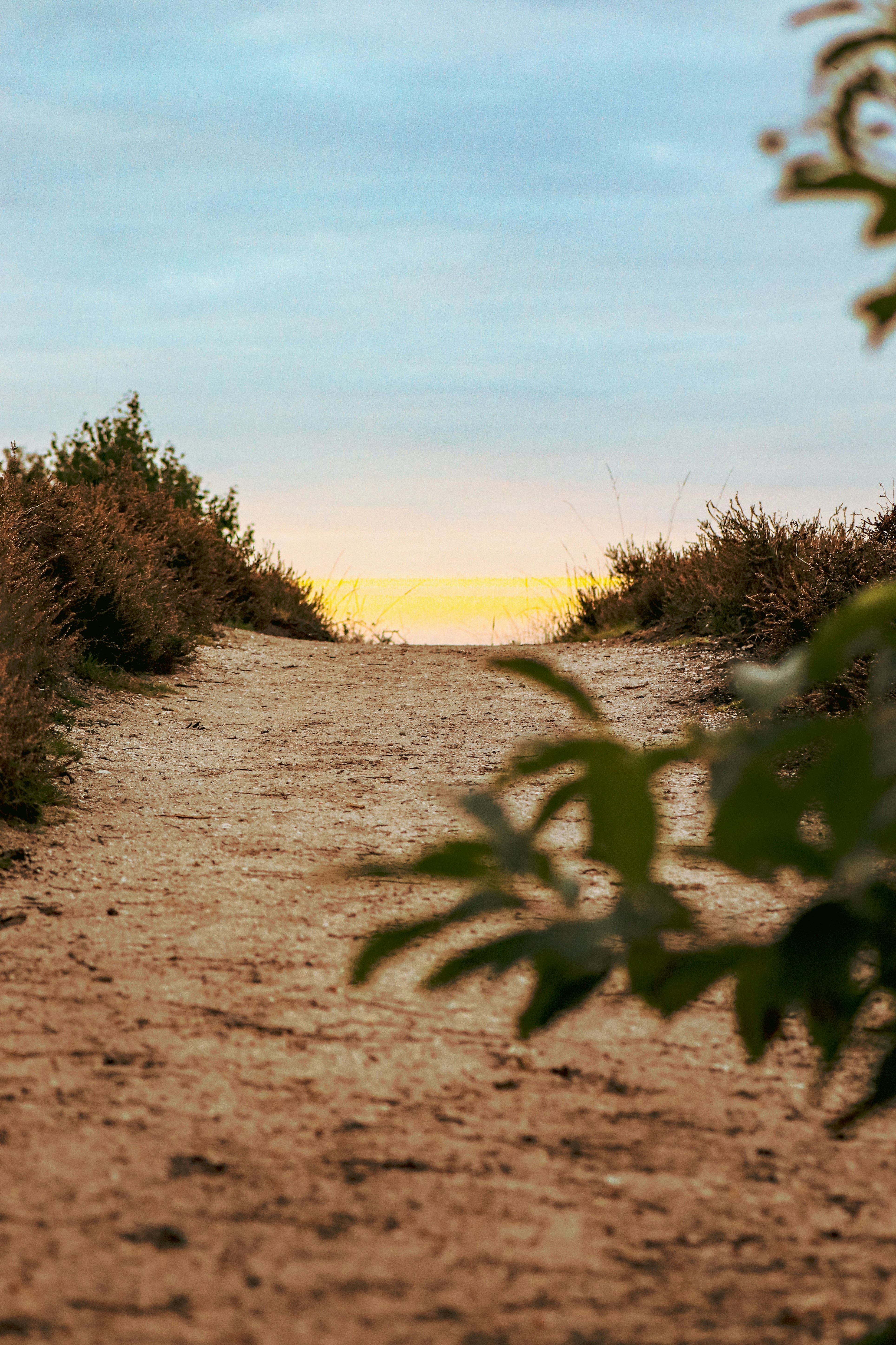 Photo by maureeneijpe