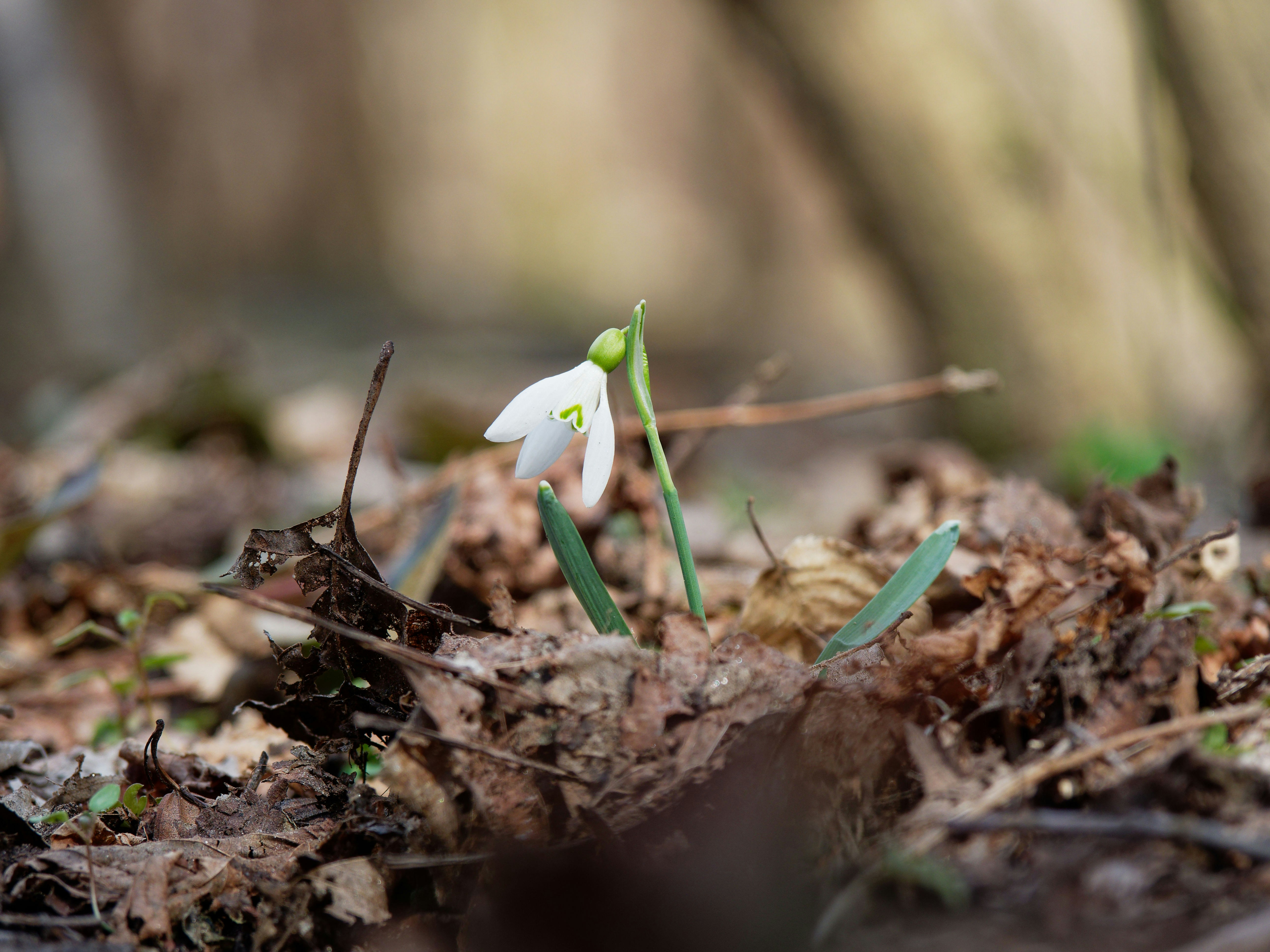 Photo by illes_cristi