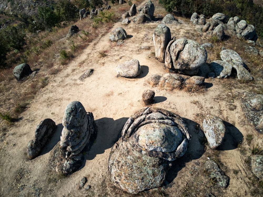 a group of rocks sitting on top of a dirt field