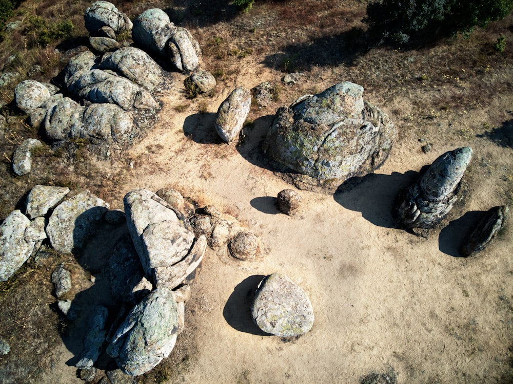 a group of rocks sitting on top of a dirt field