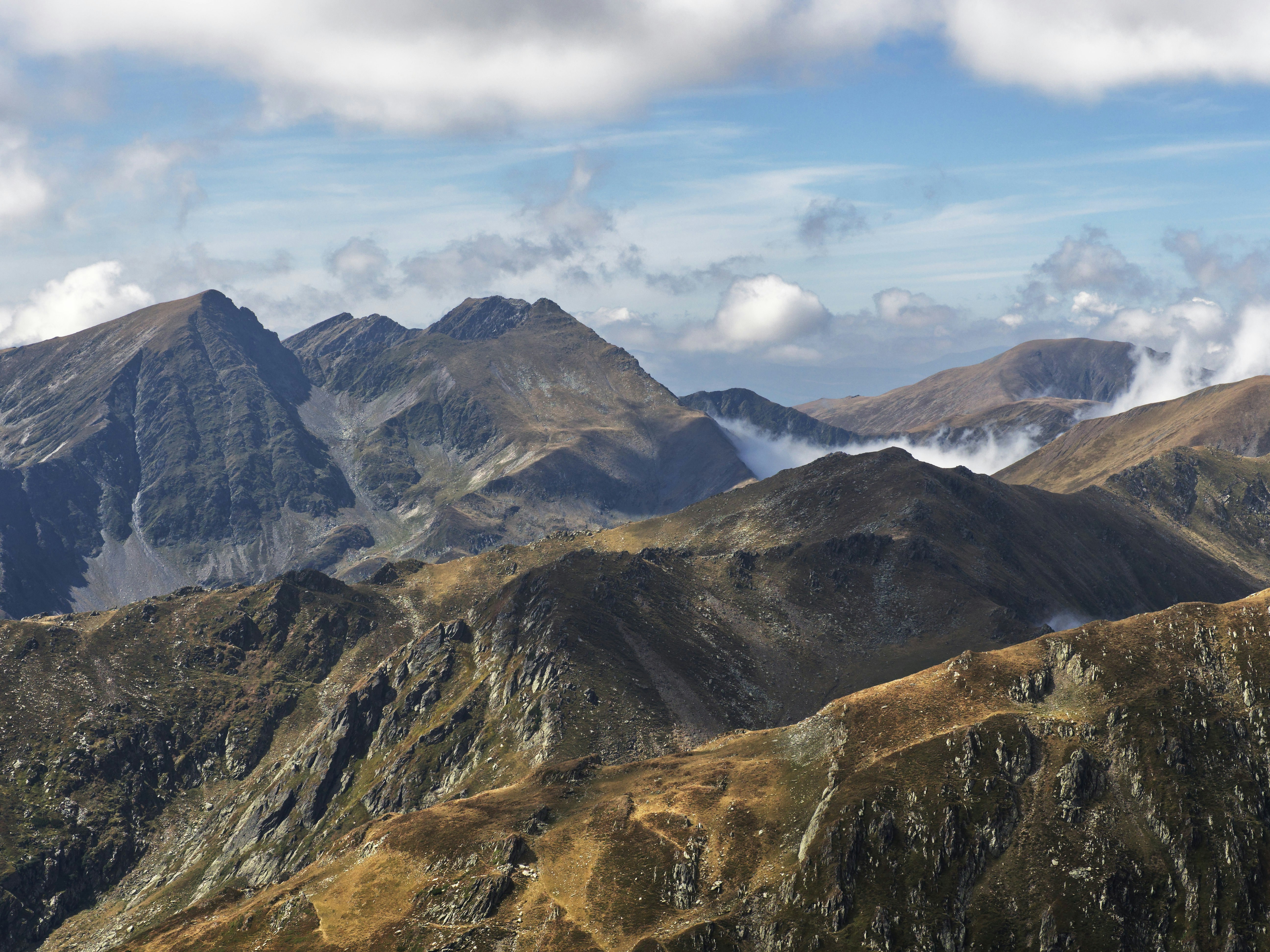 Photo by illes_cristi