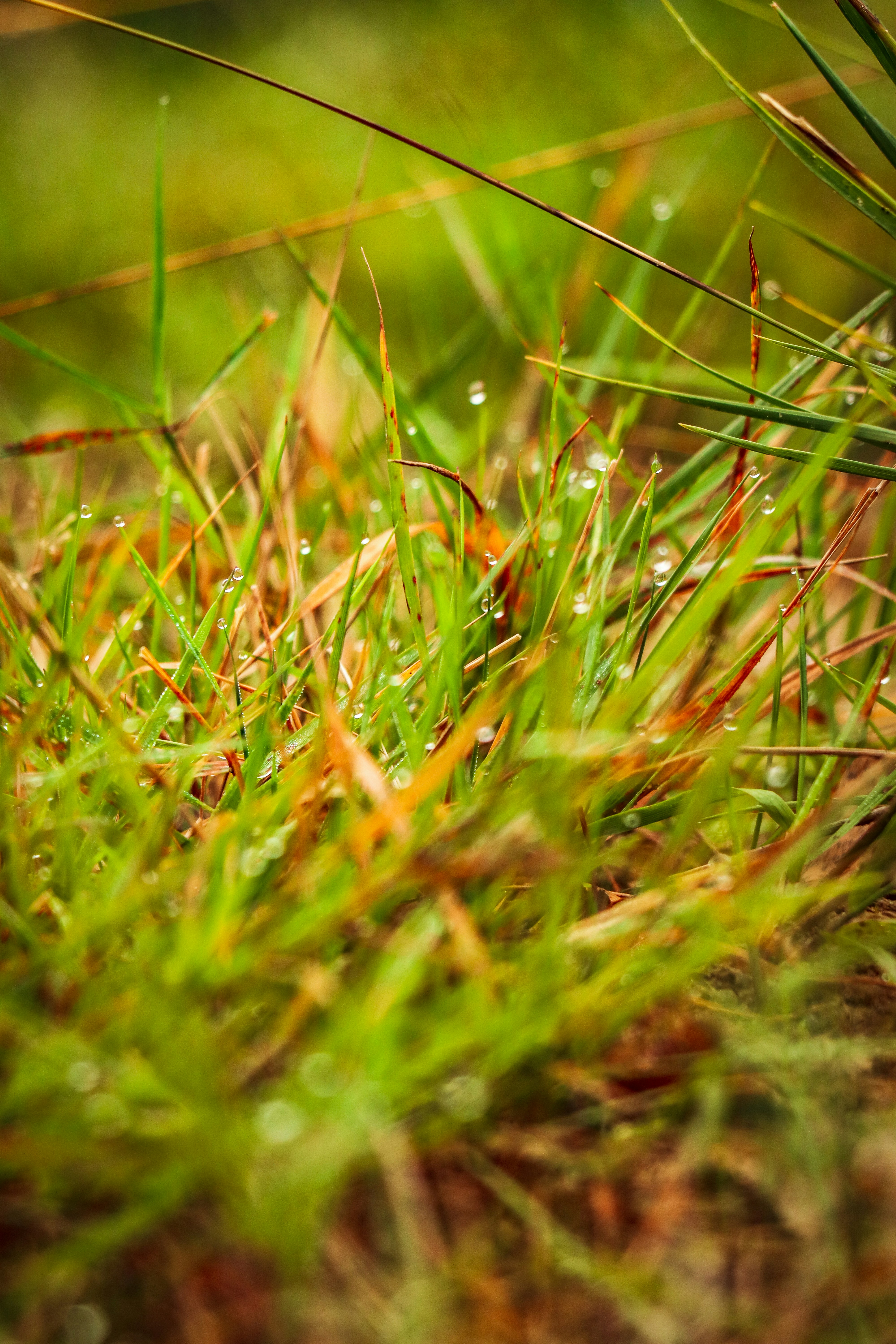 Photo by maureeneijpe