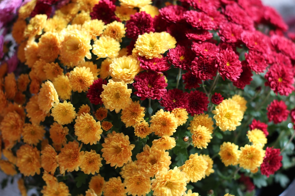 a bunch of flowers that are in a vase