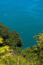 a body of water surrounded by trees and bushes