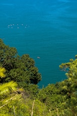a body of water surrounded by trees and bushes