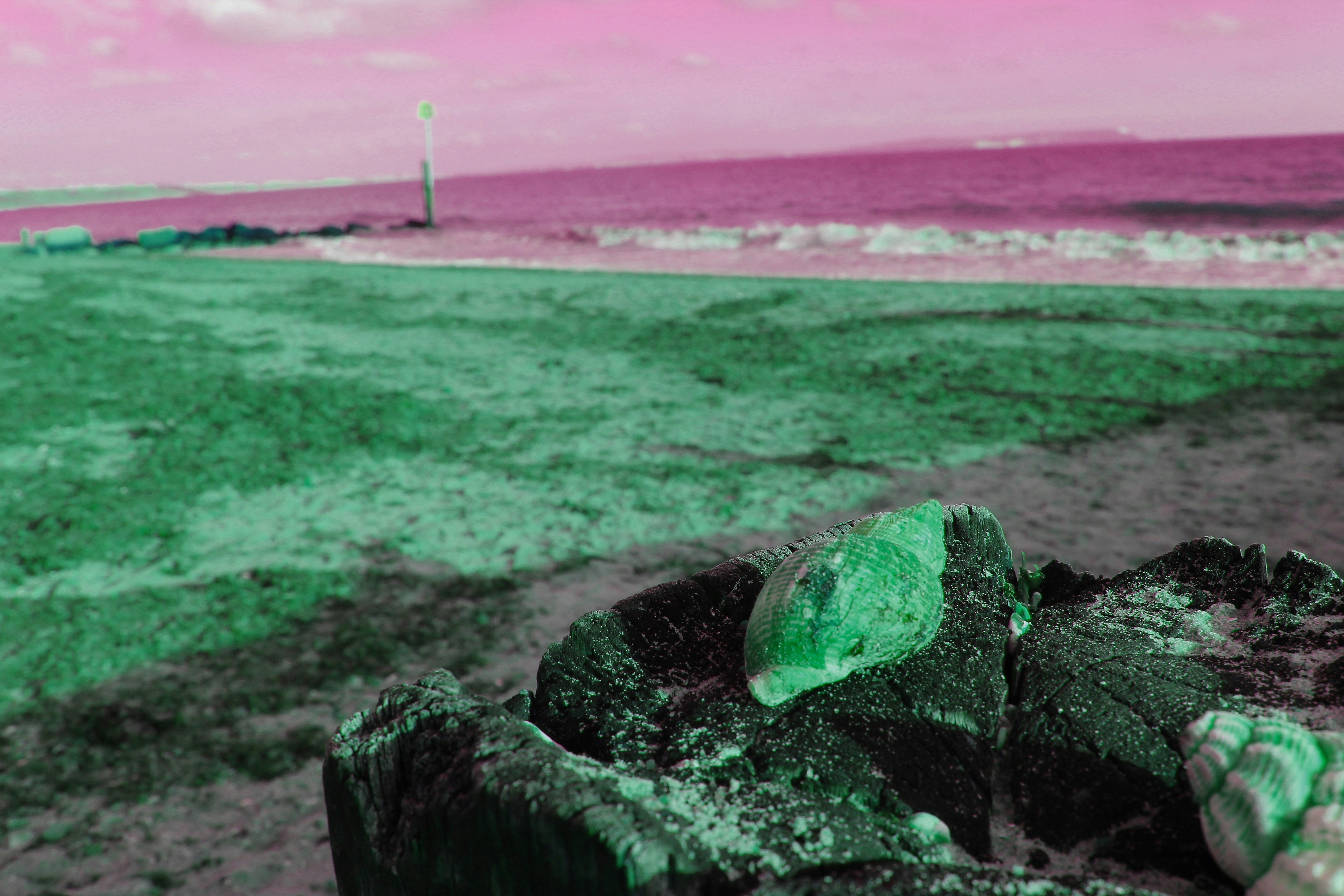 a piece of wood sitting on top of a sandy beach