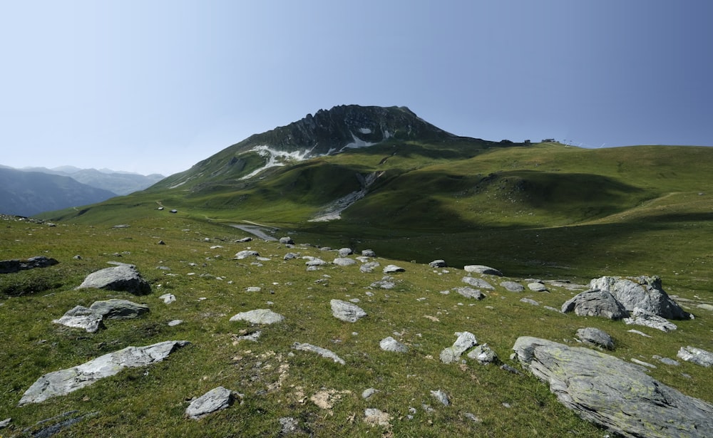 a grassy field with rocks and a mountain in the background