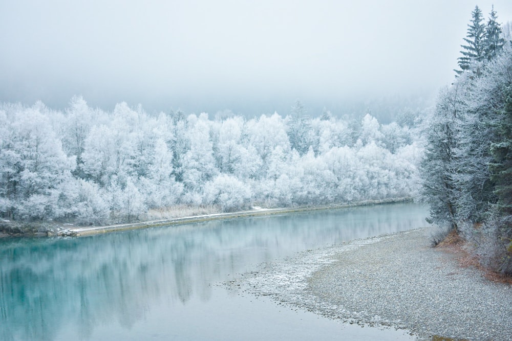 a body of water surrounded by trees covered in snow