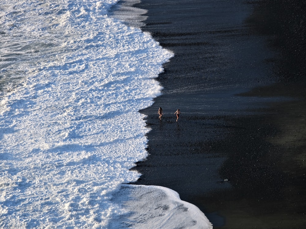 a couple of birds standing on top of a beach covered in snow