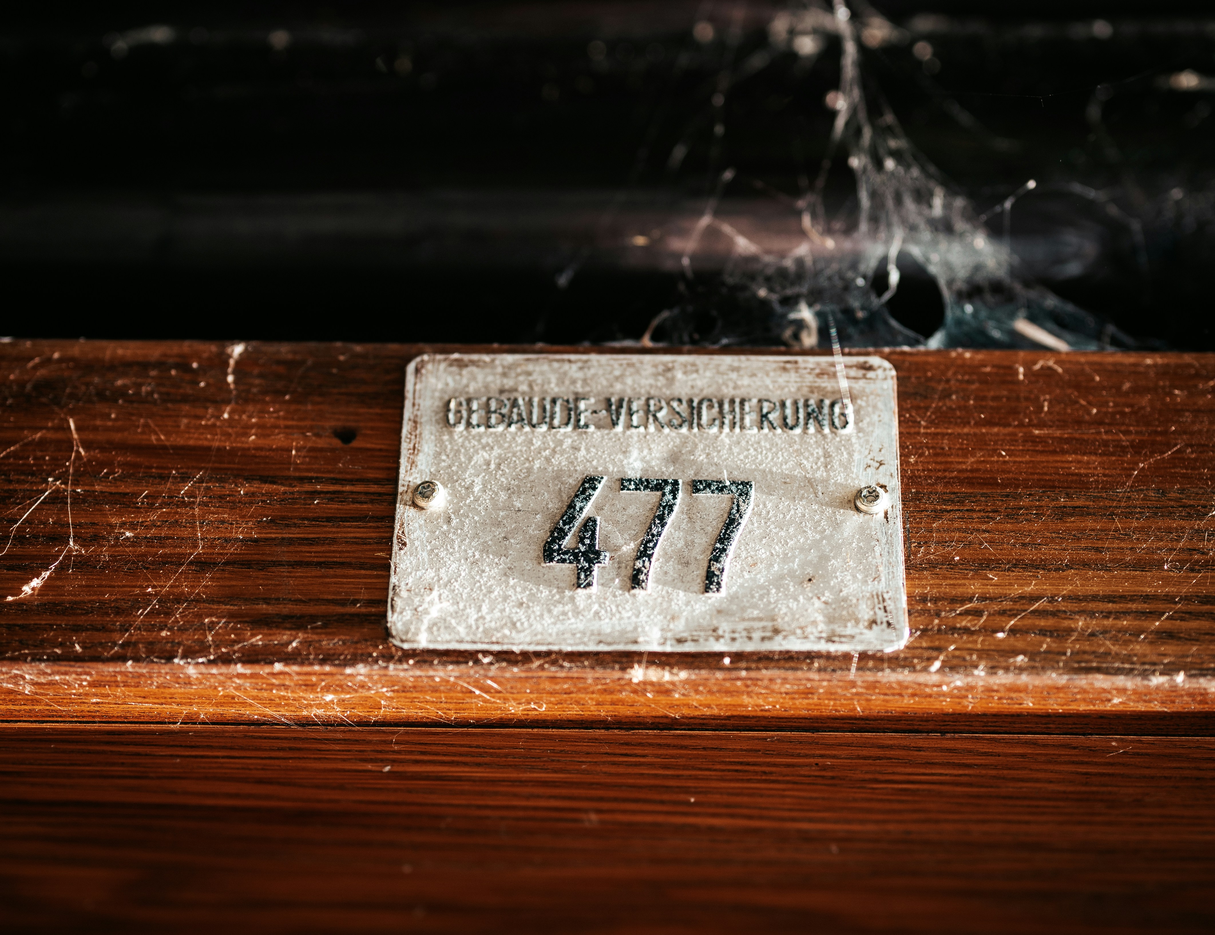 Old shield on a wooden door
