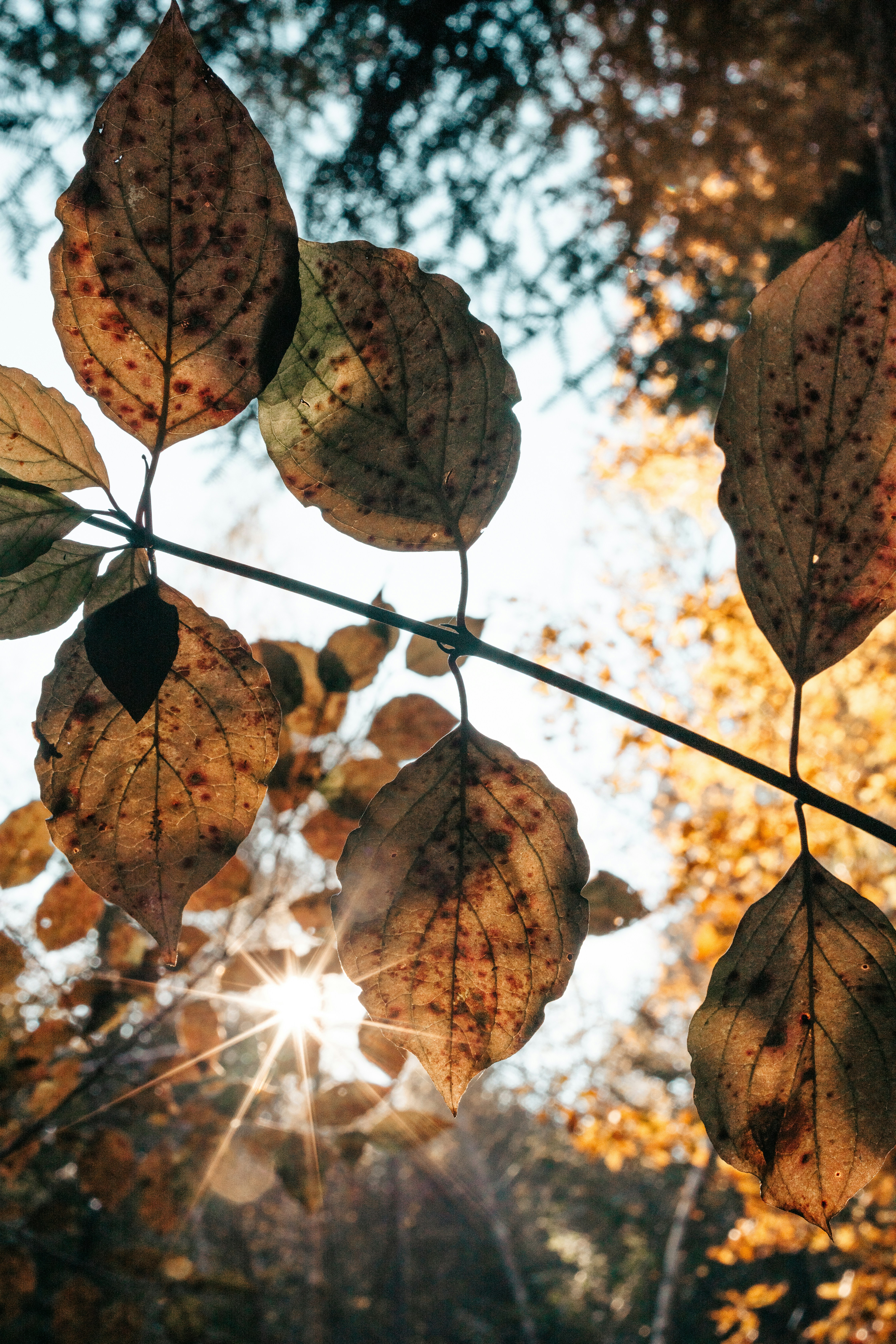 Photo by viewofsamu