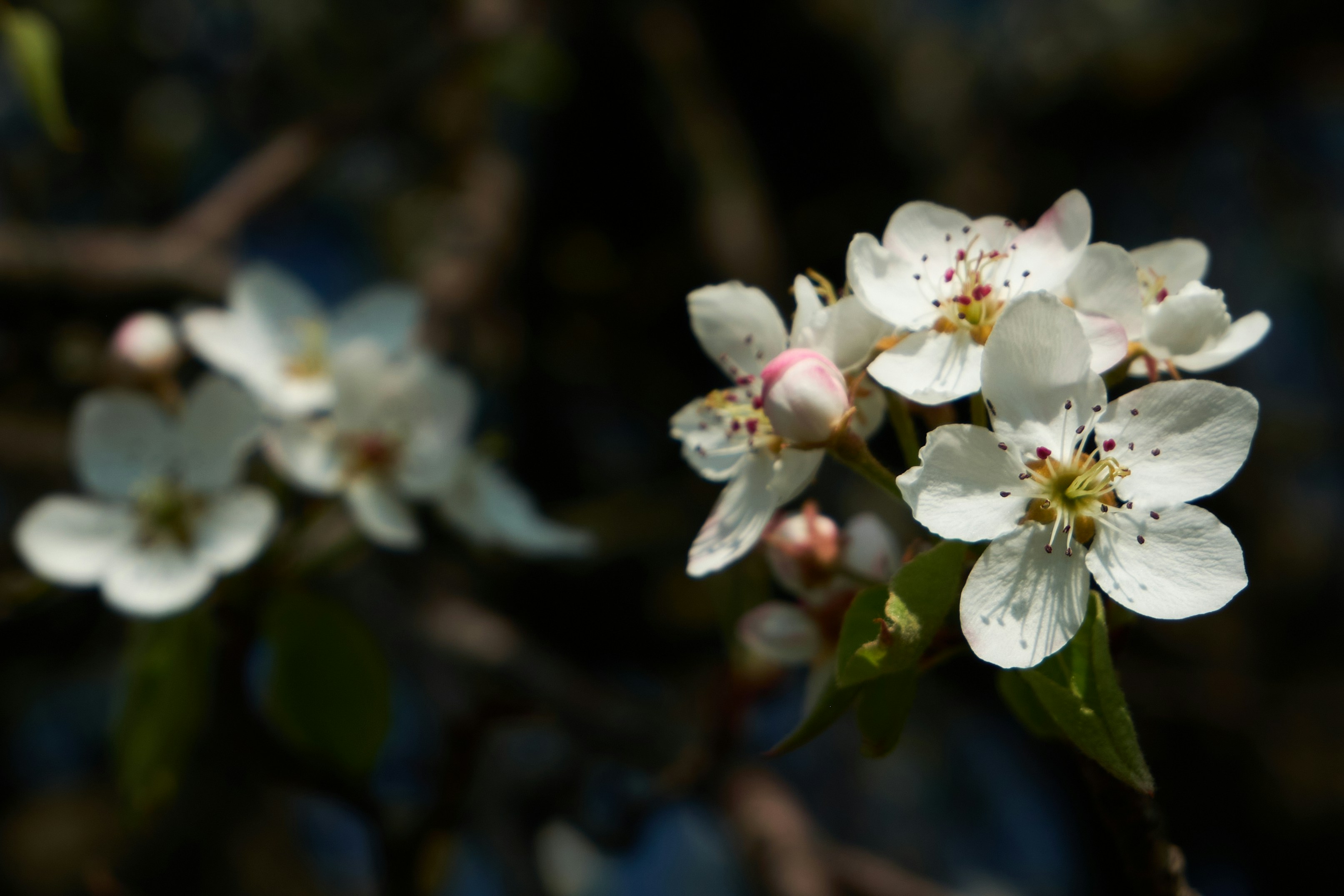 Photo by alessandroventuri