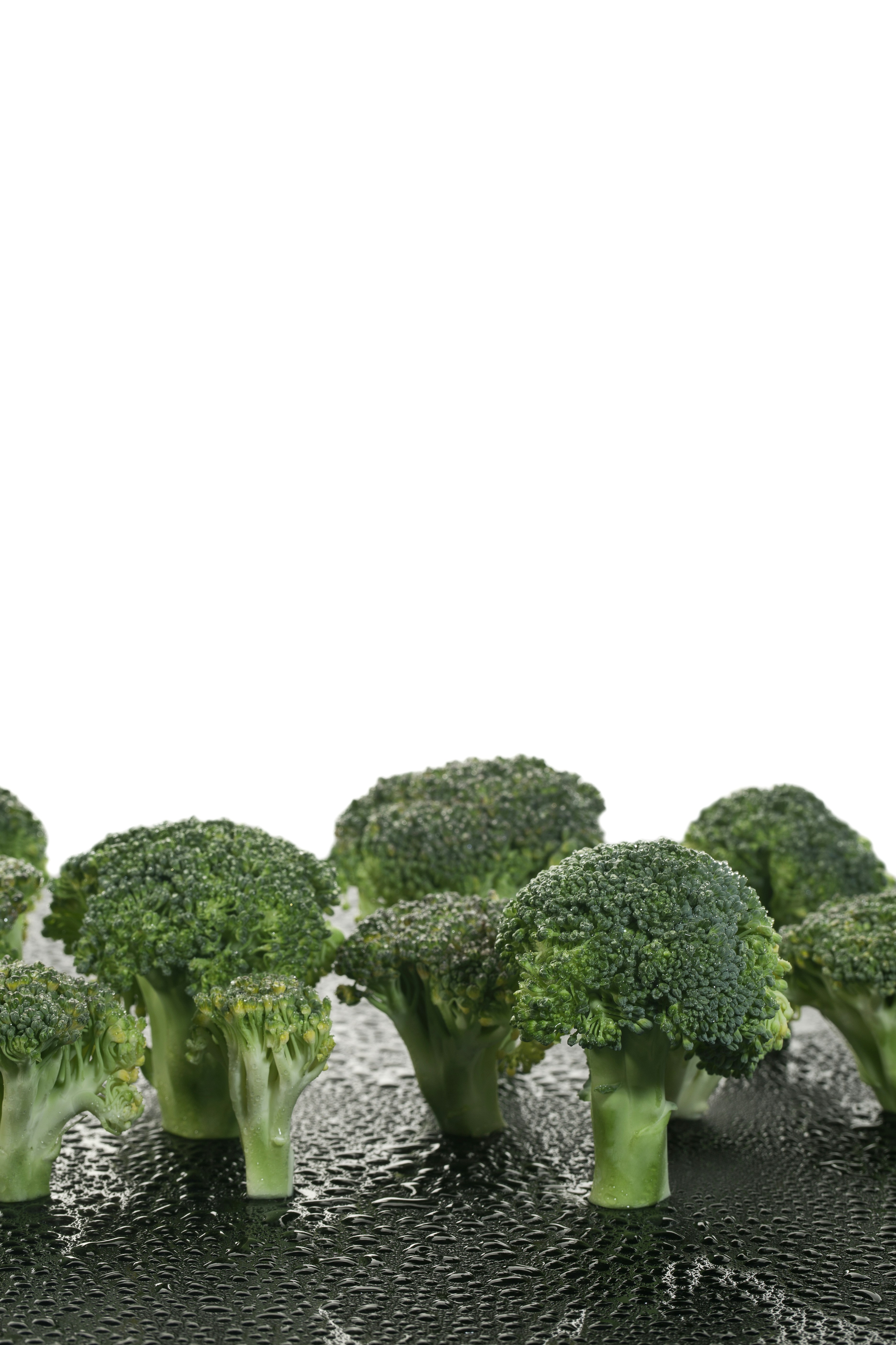Ose Weight Food Plan