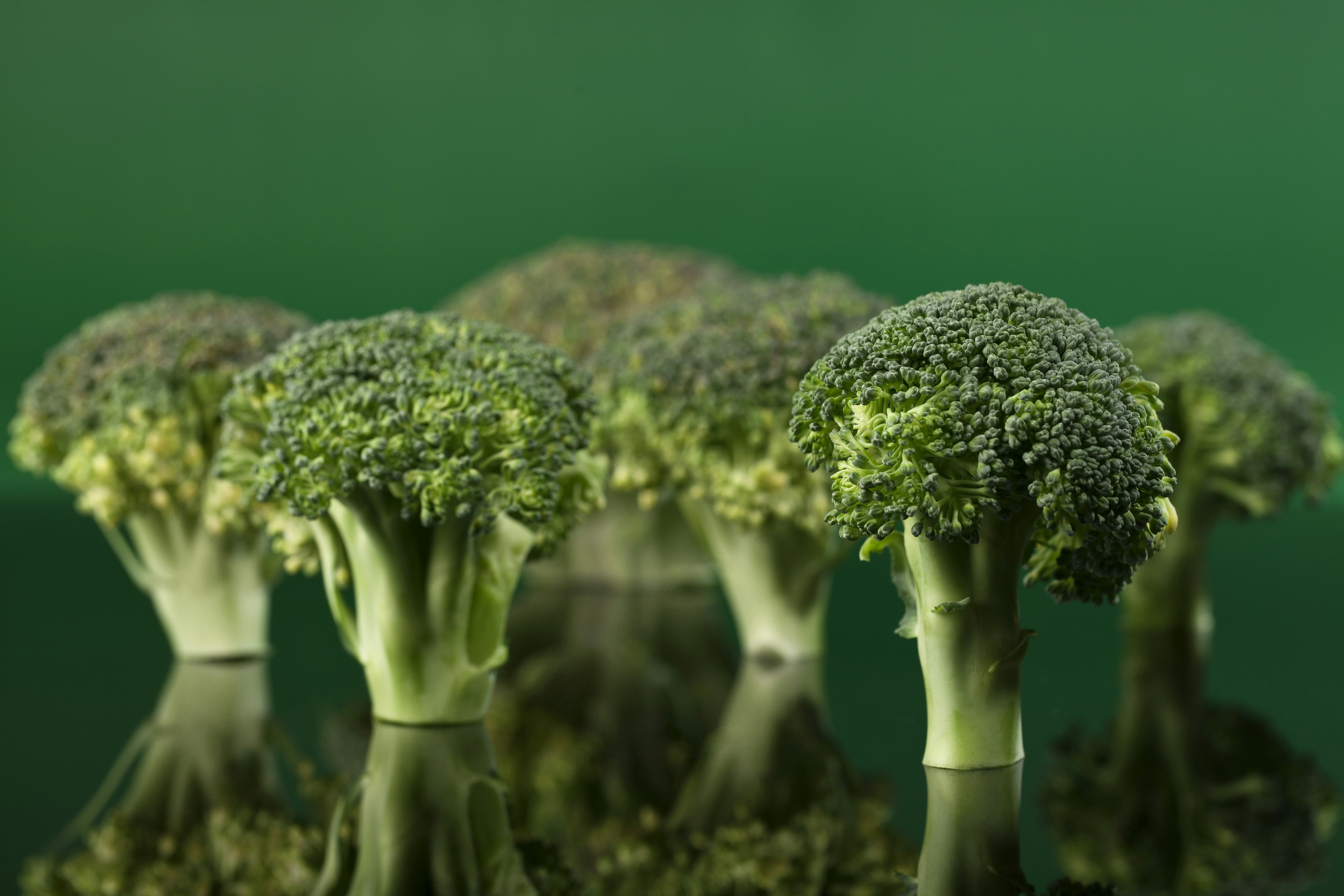 Broccoli Club Bundle