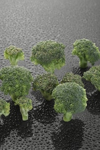Broccoli florets are arranged on a black surface covered with droplets of water, highlighting their fresh and vibrant green color.
