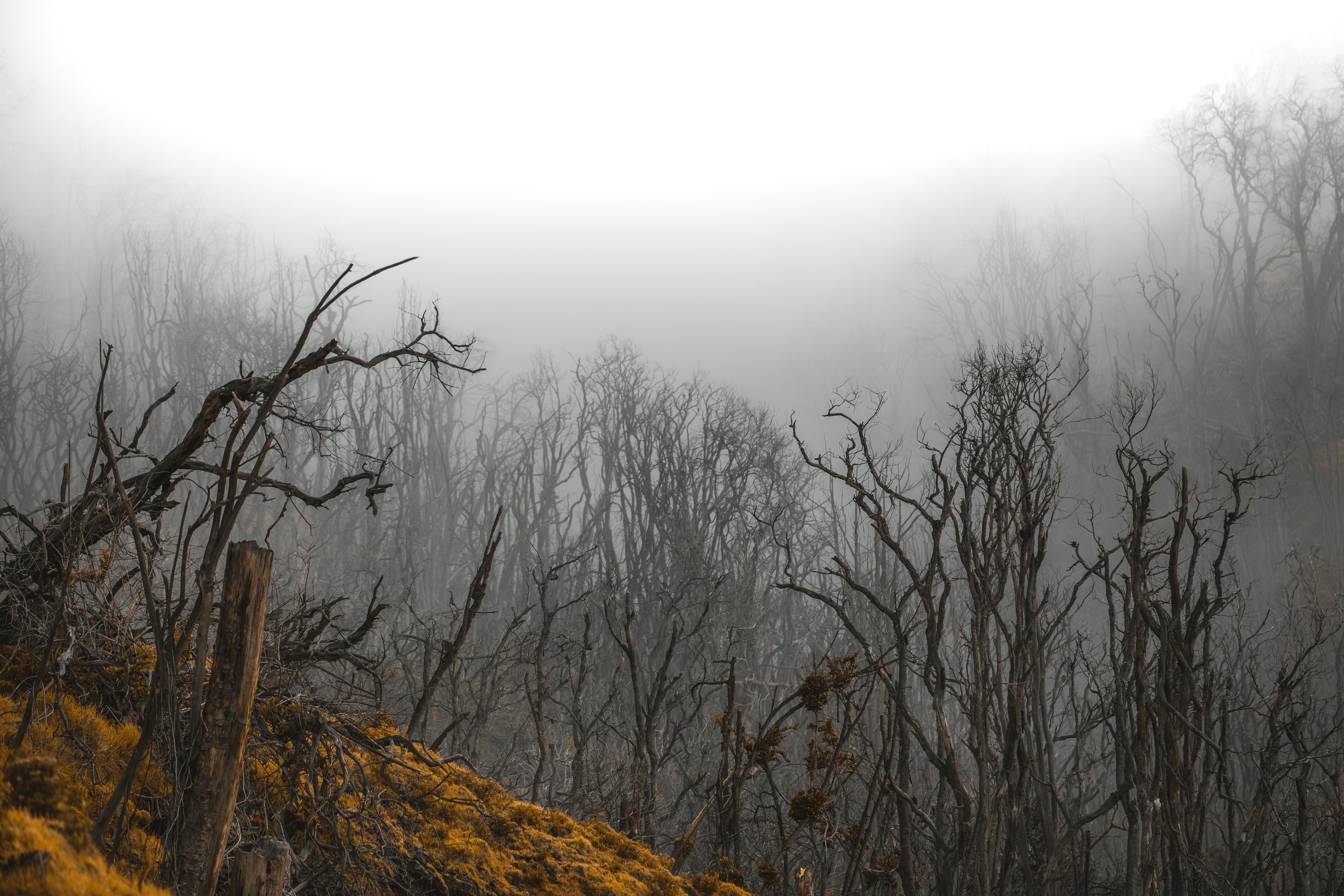 Photo by alexcrphoto