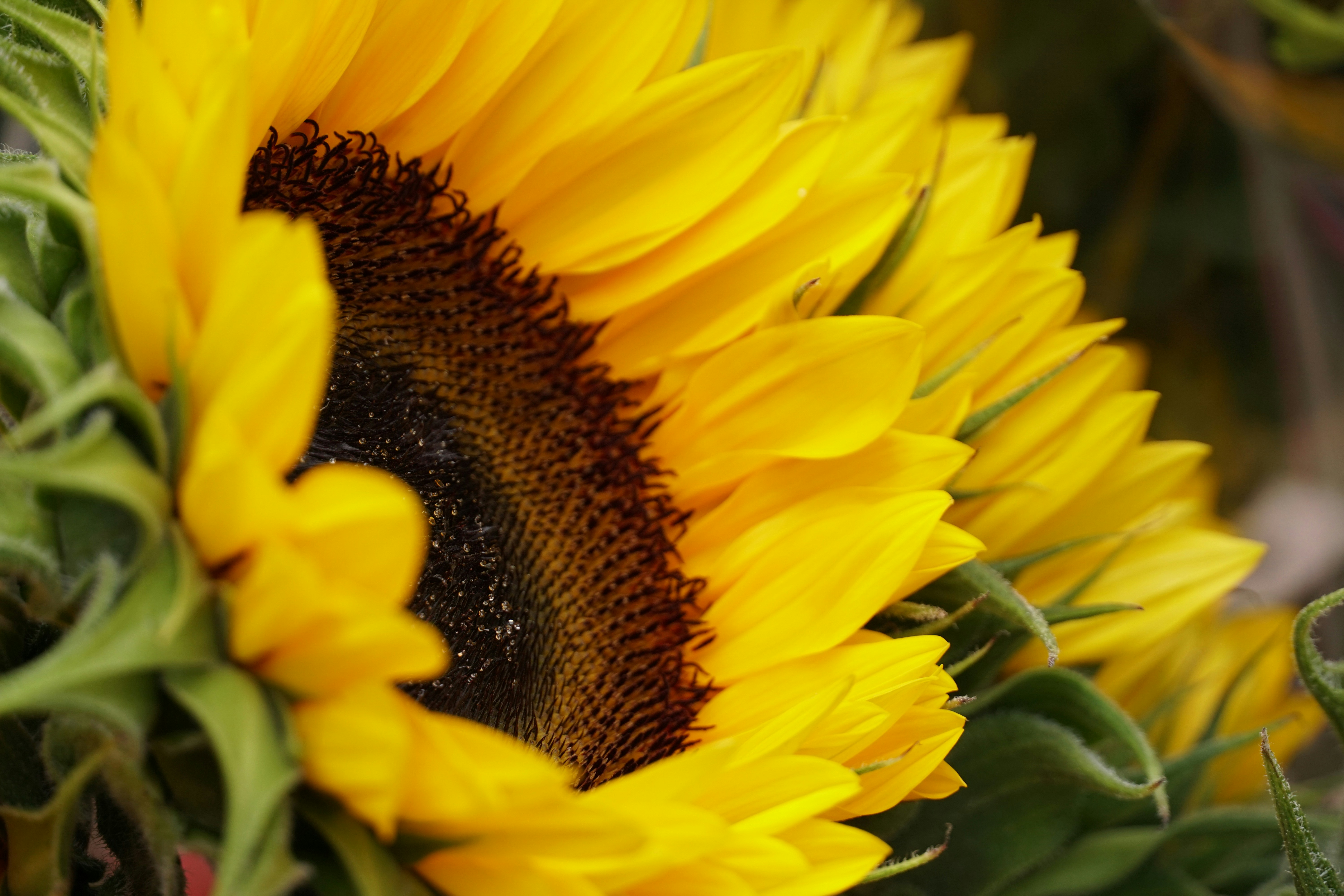 Photo by victoriafrancesca77