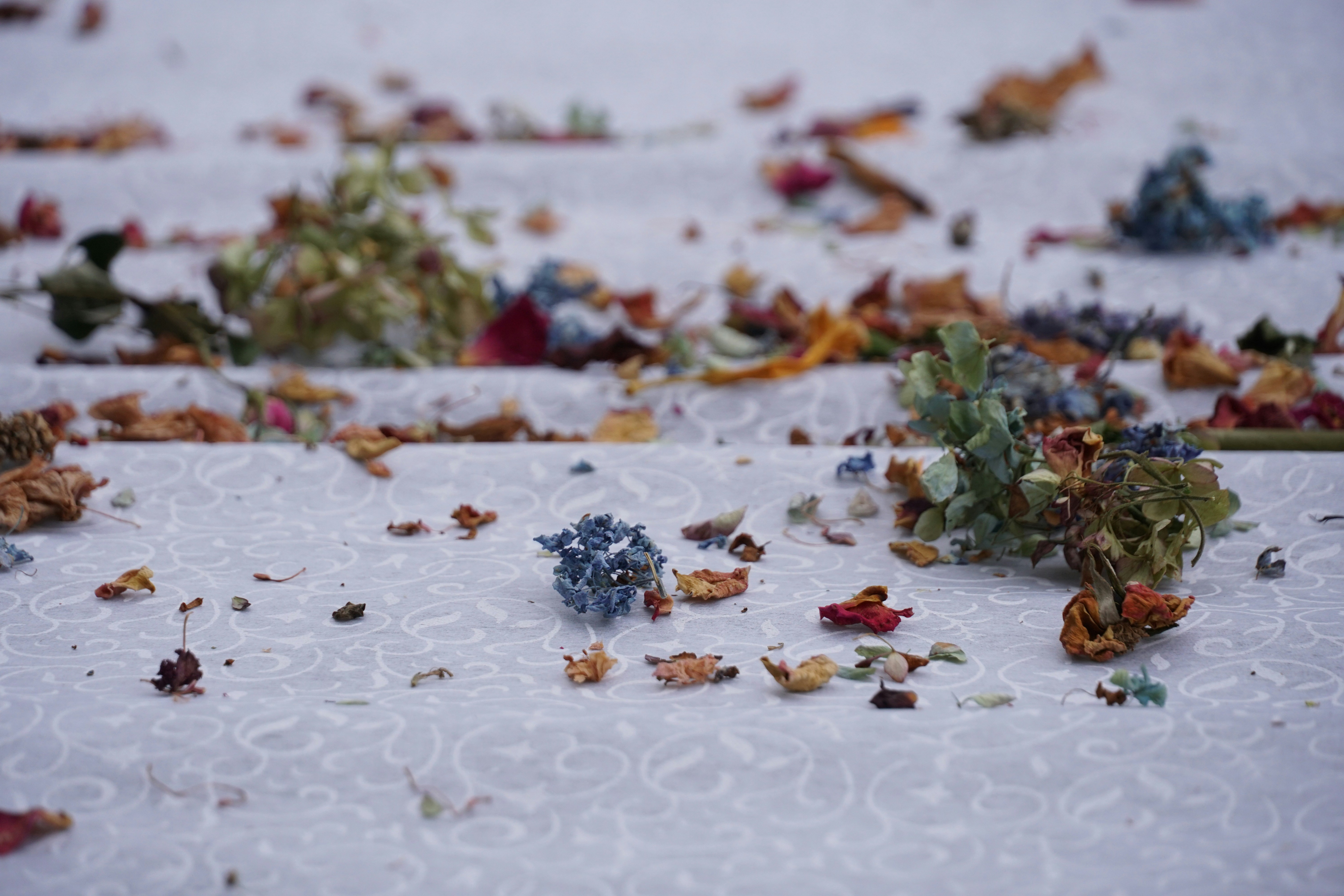 a bunch of leaves that are laying on a table