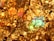 A detailed close-up of a rock or mineral surface, showcasing a vibrant mix of colors and intricate crystalline patterns. The surface features a rich array of gold, orange, and copper hues interspersed with bright patches of blue and green, giving it an iridescent quality.