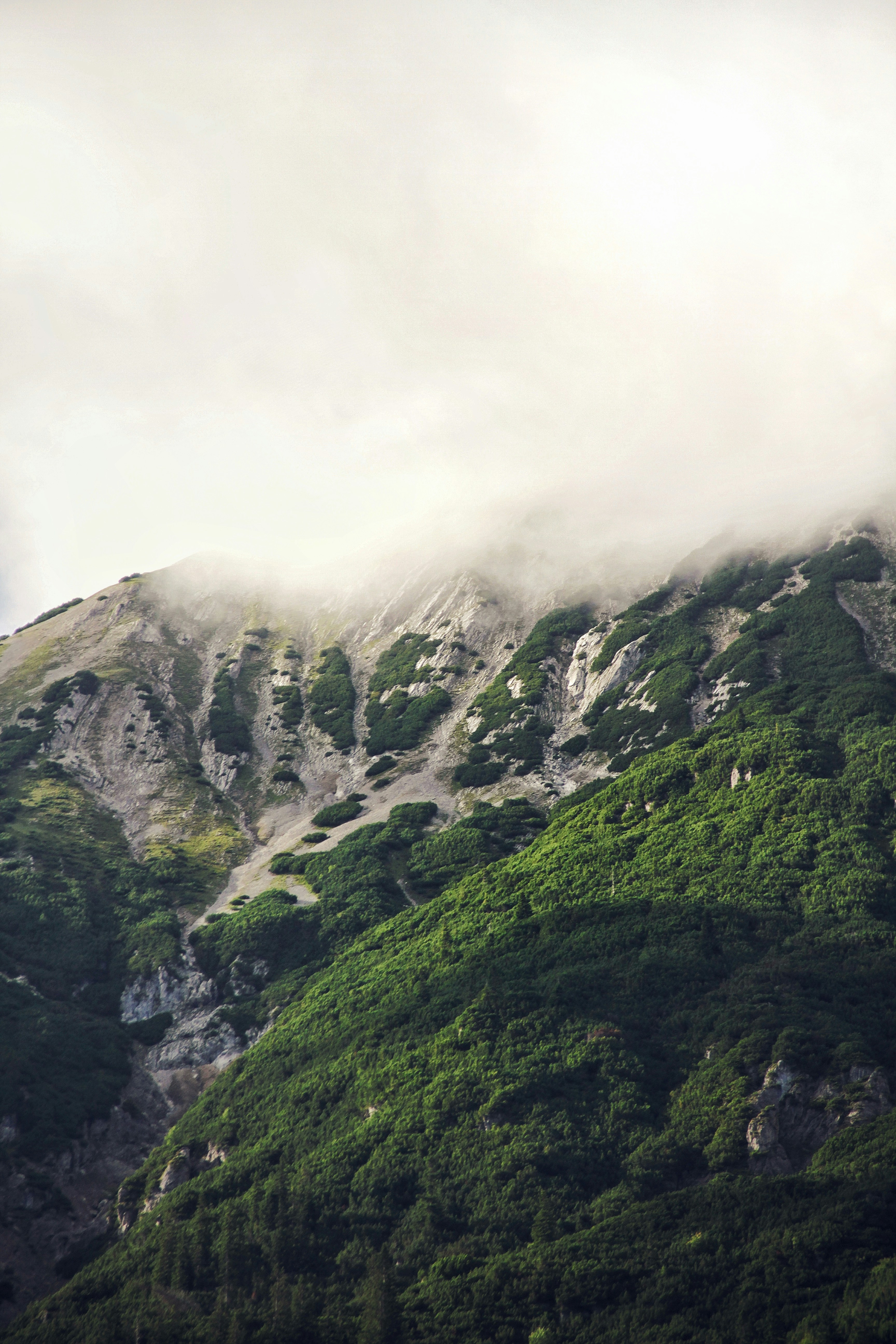 Photo by janoliverschwarz