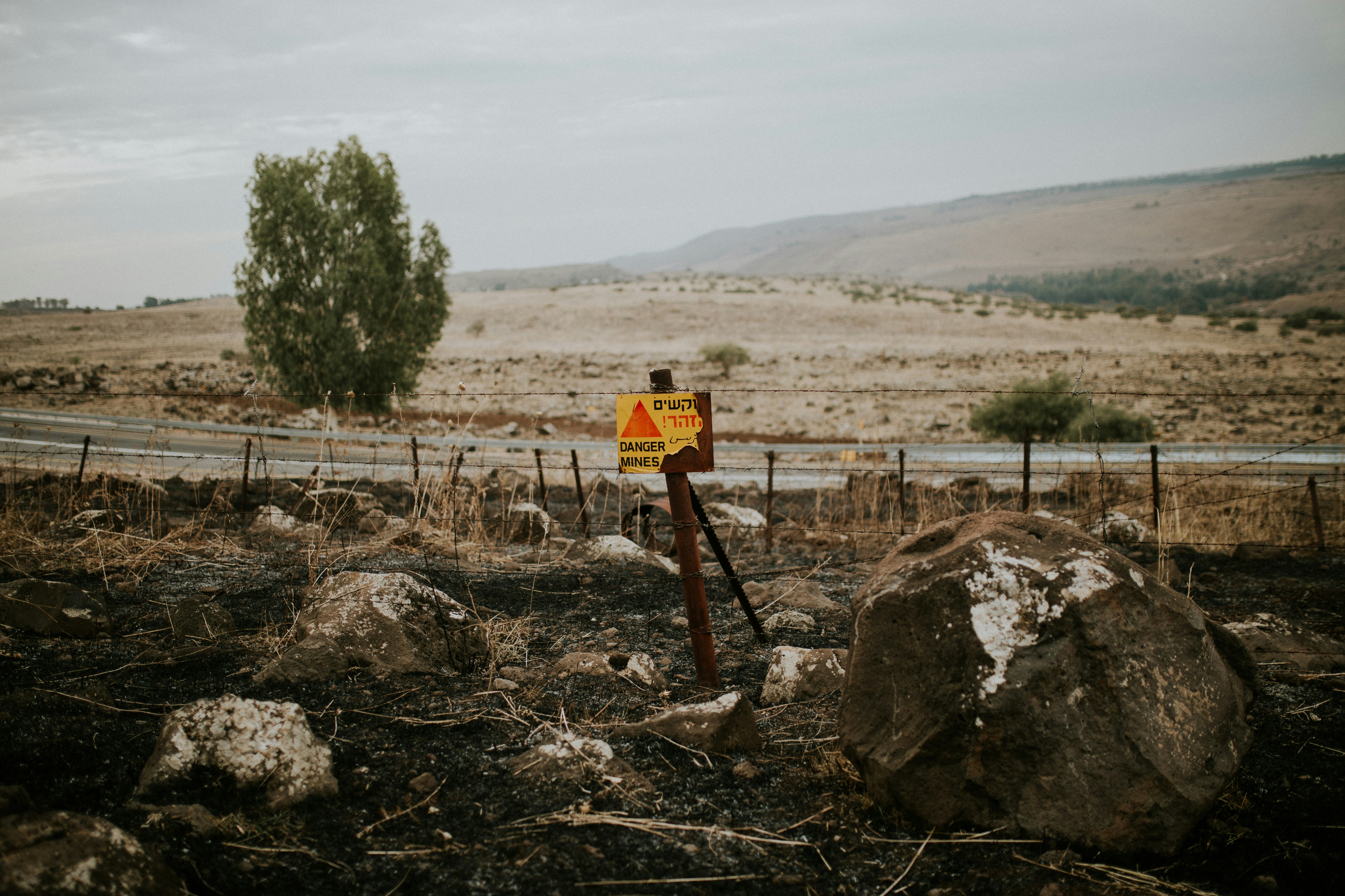 Miinakysymys jakaa vihreitä post image