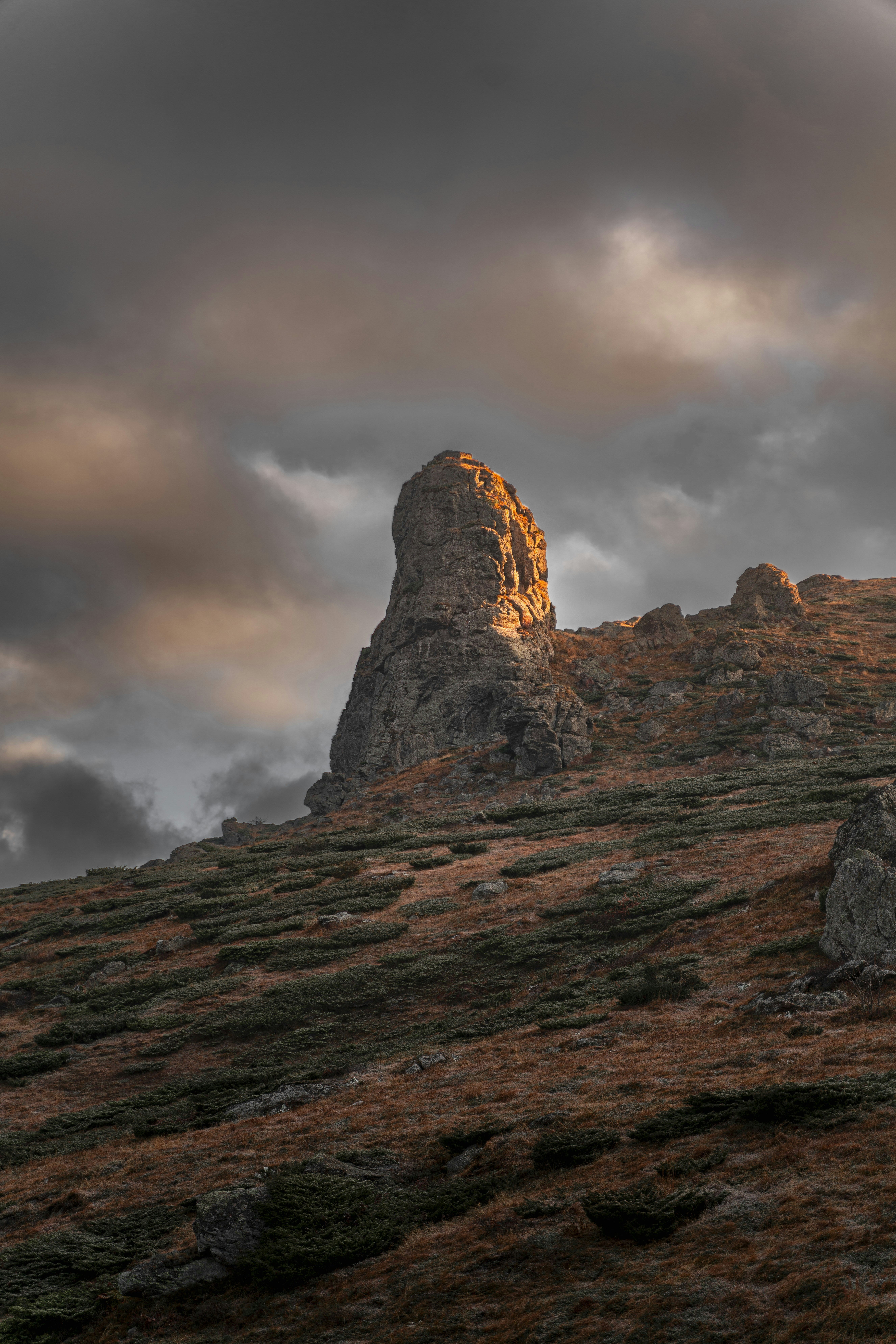 Photo by djordjevukojicic
