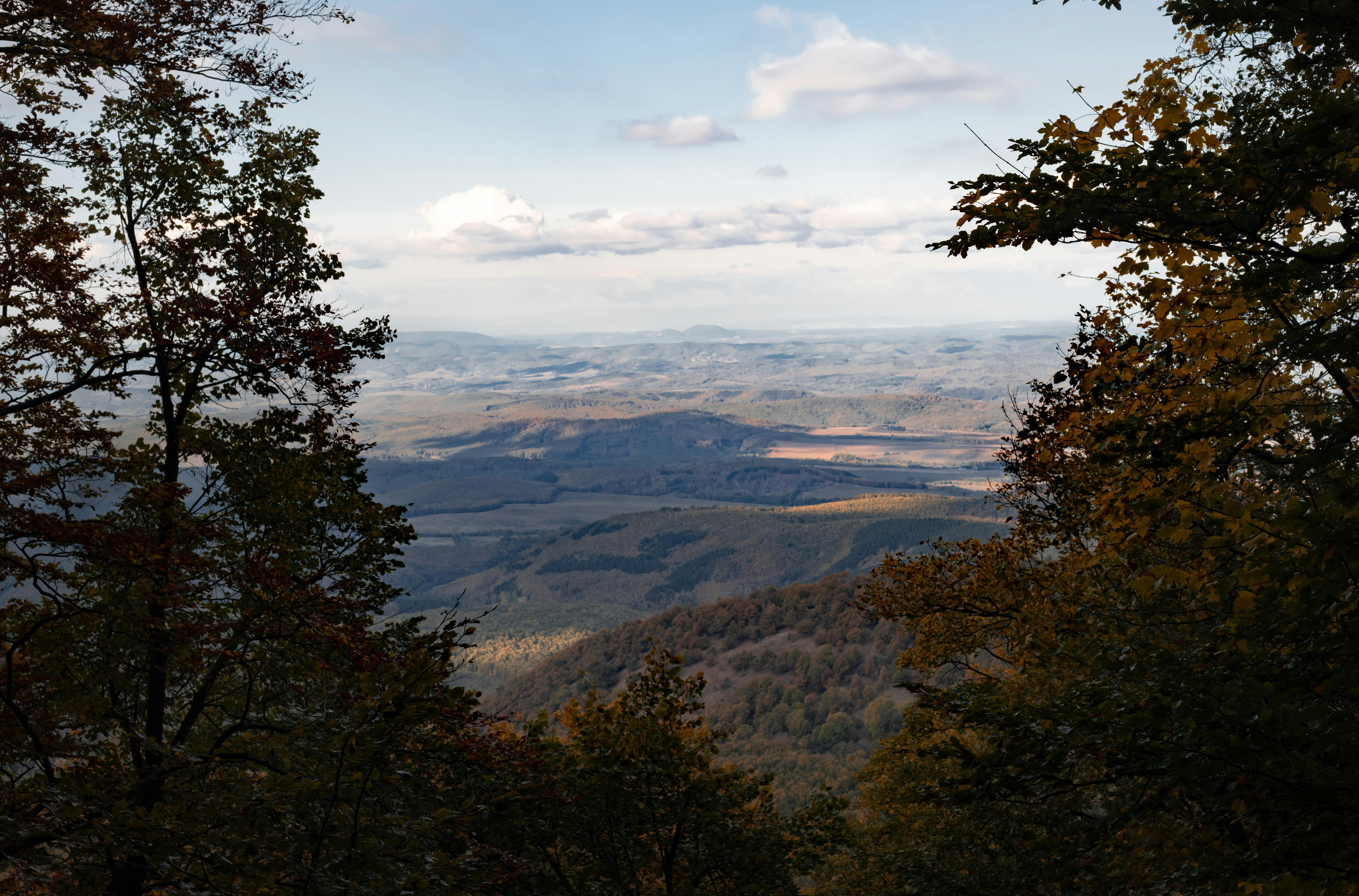 Monte Alban Blairsville Menu