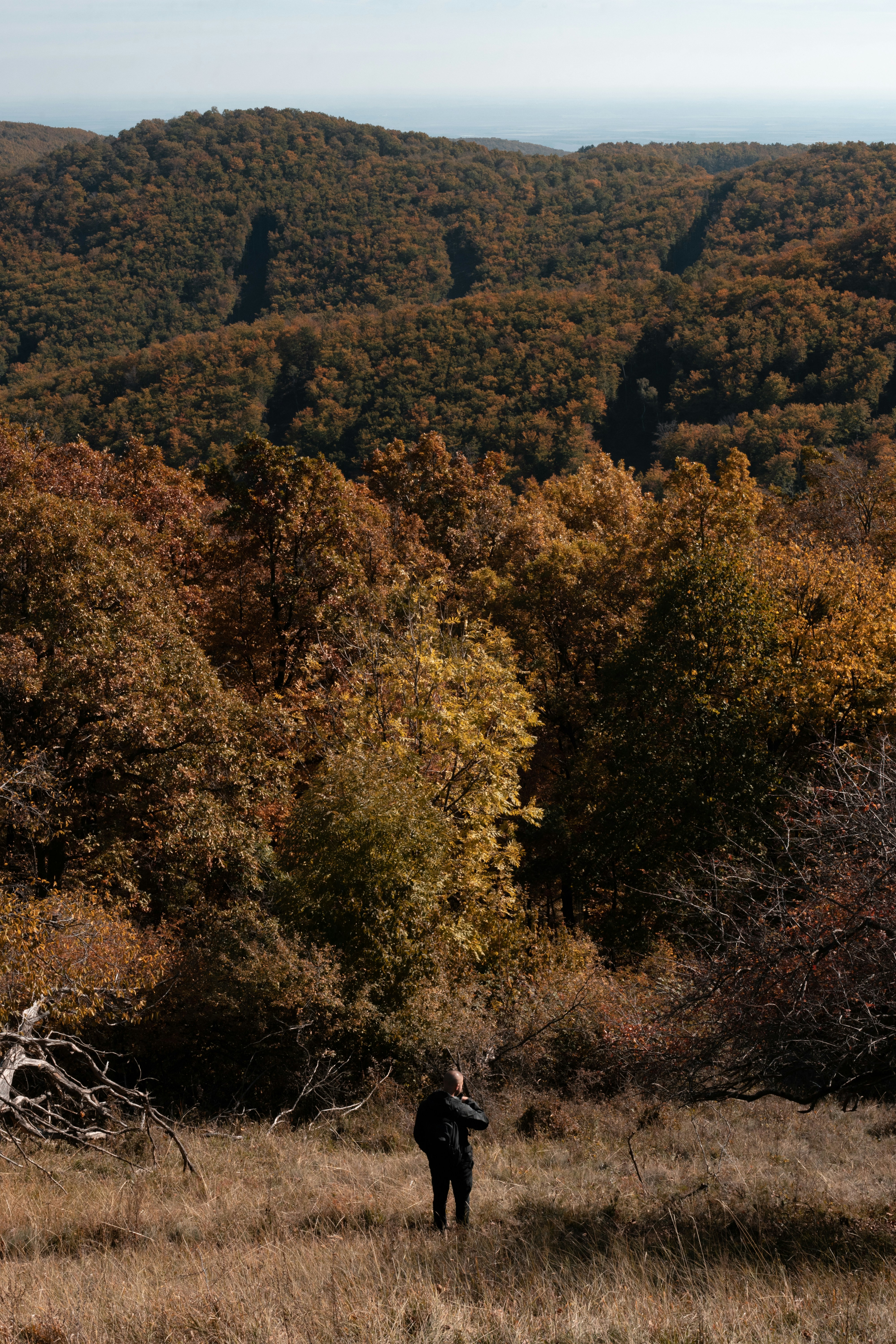 a person standing in a field with trees in the background