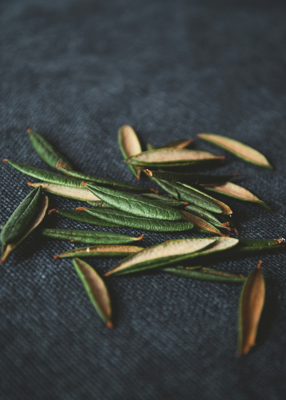 a bunch of green leaves laying on top of a blue cloth