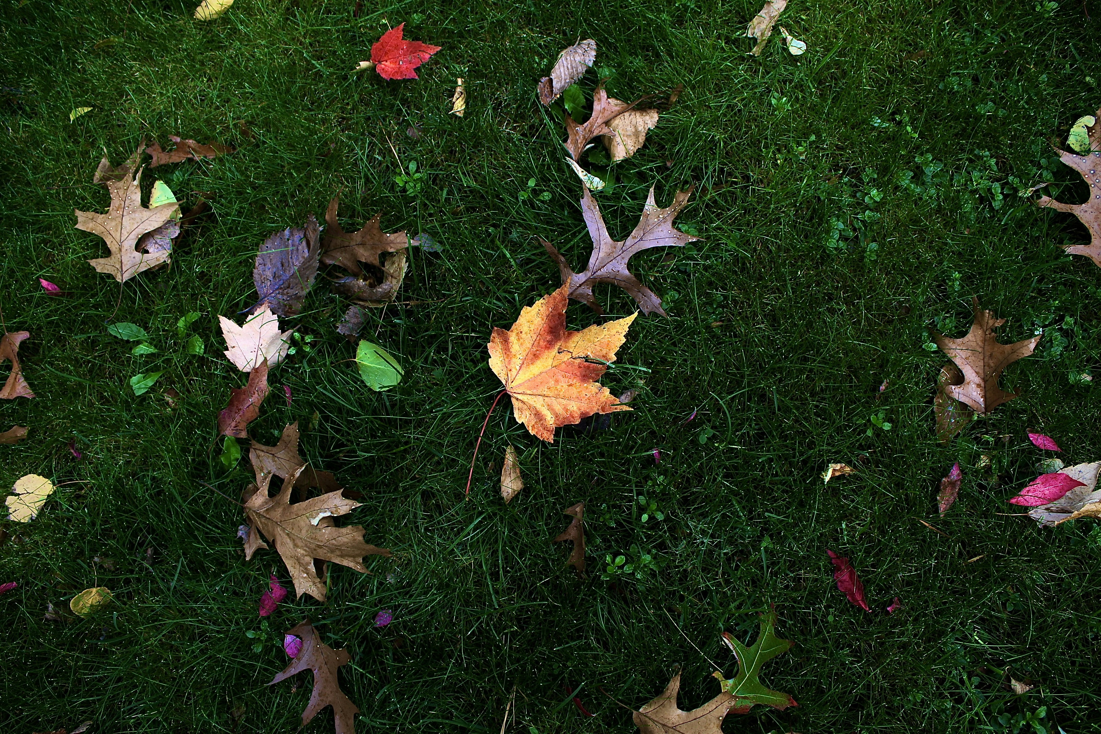 Photo by joyflowerphotography