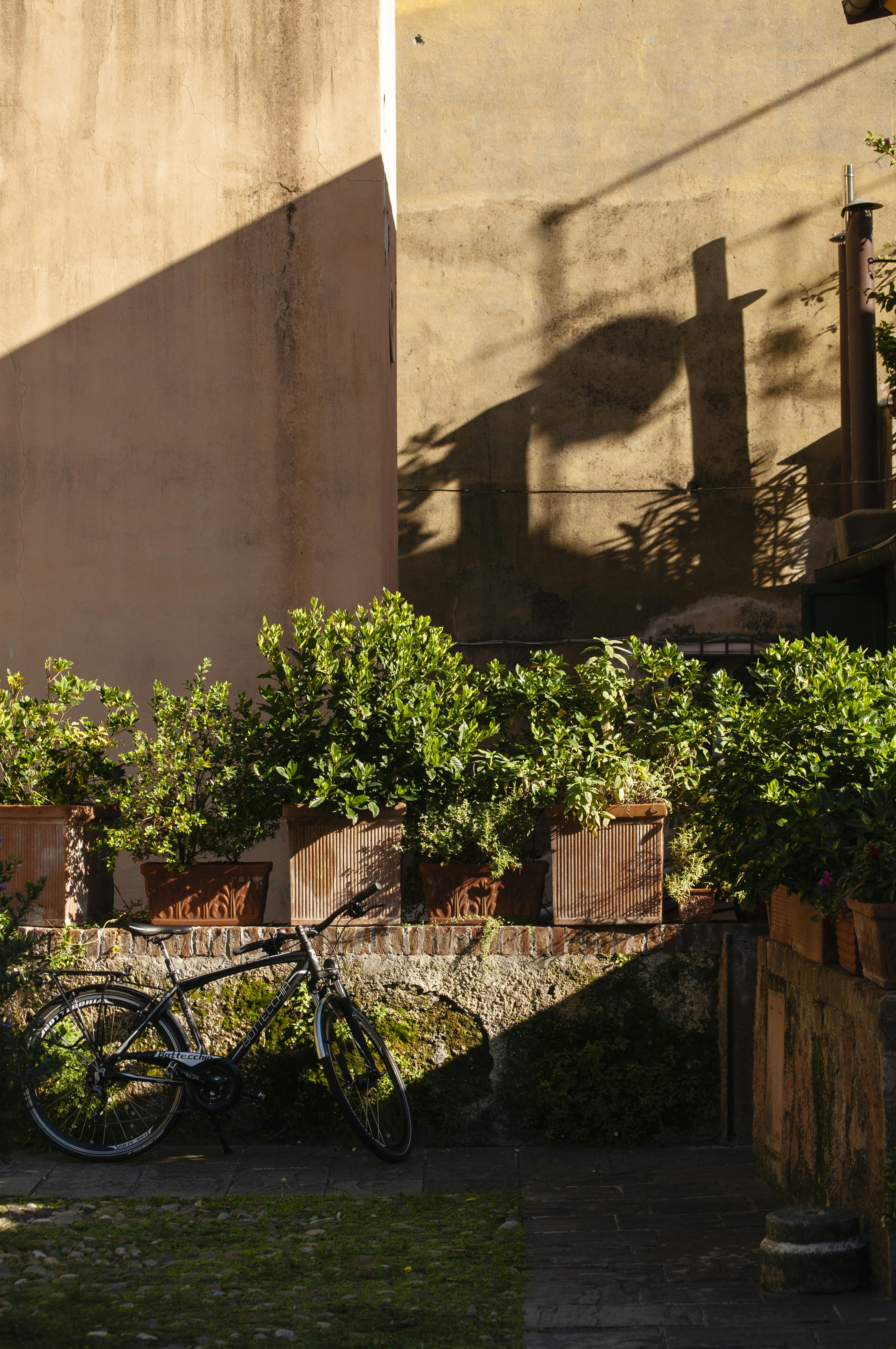 Photo by yuli_superson