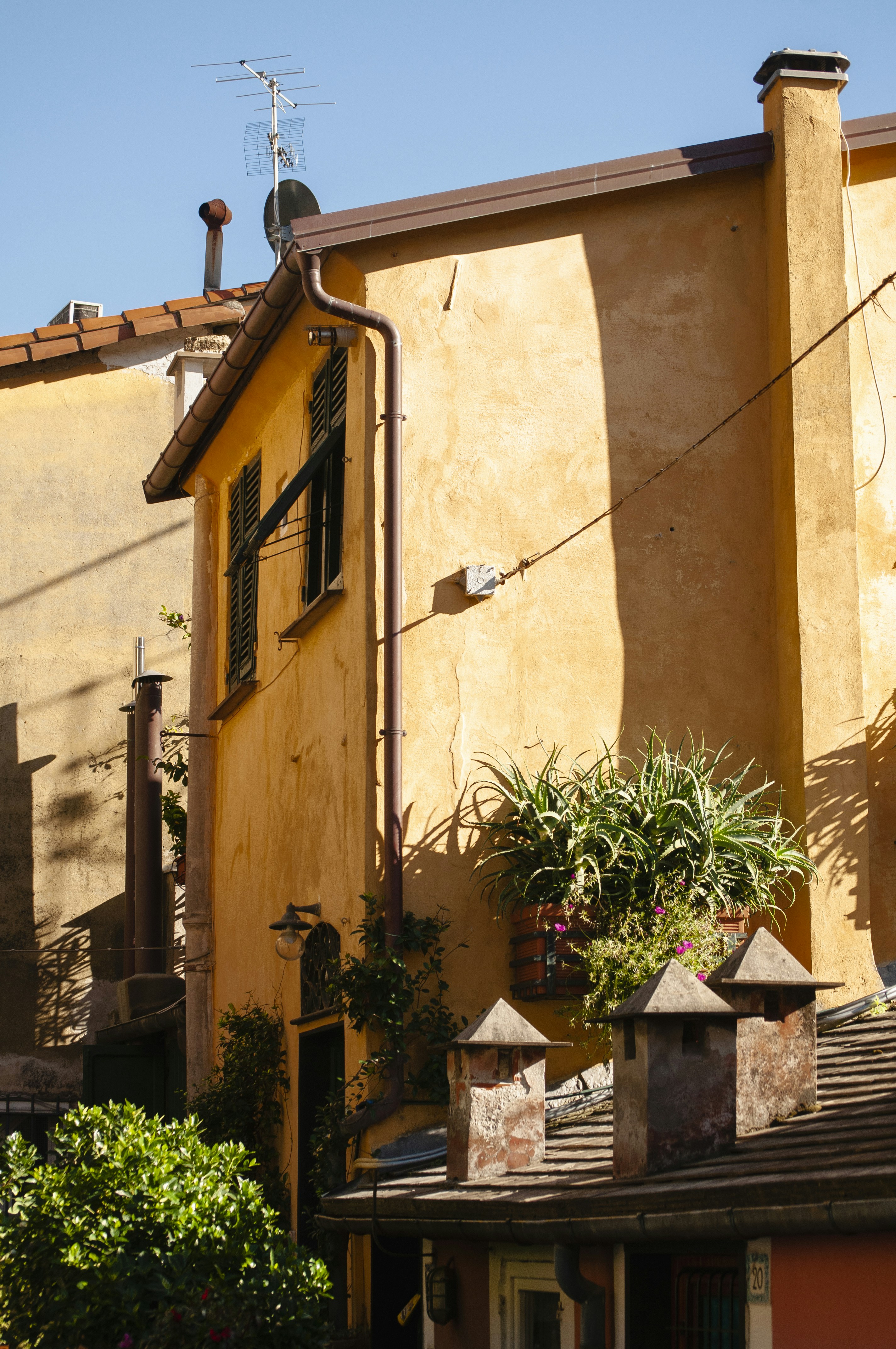 Photo by yuli_superson