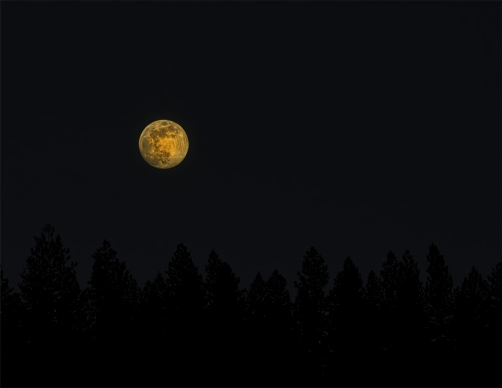 a full moon shines brightly in the night sky