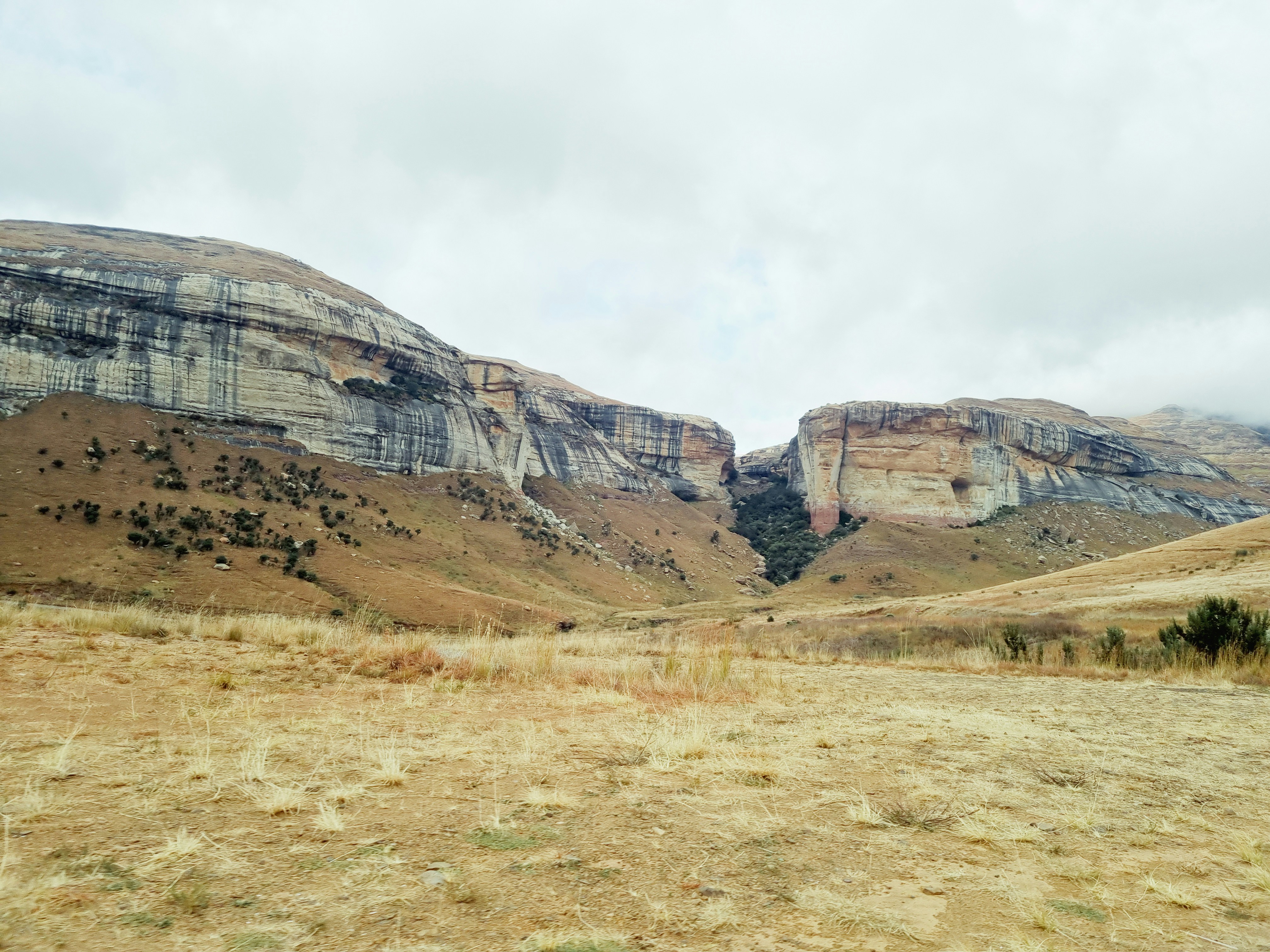 Photo by rubenwesson