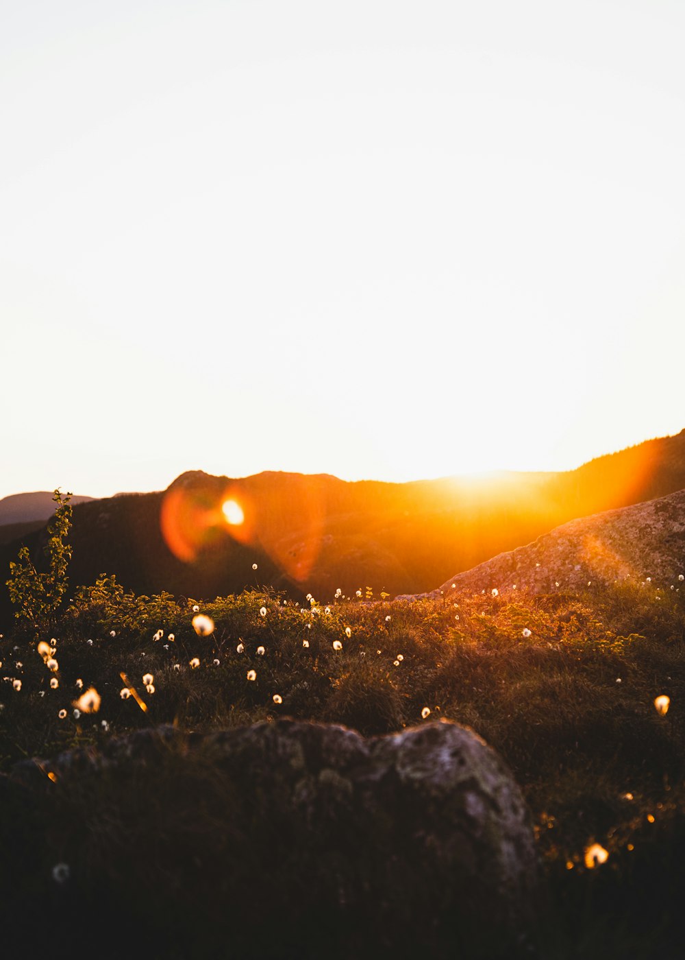 the sun is setting over a mountain with wildflowers